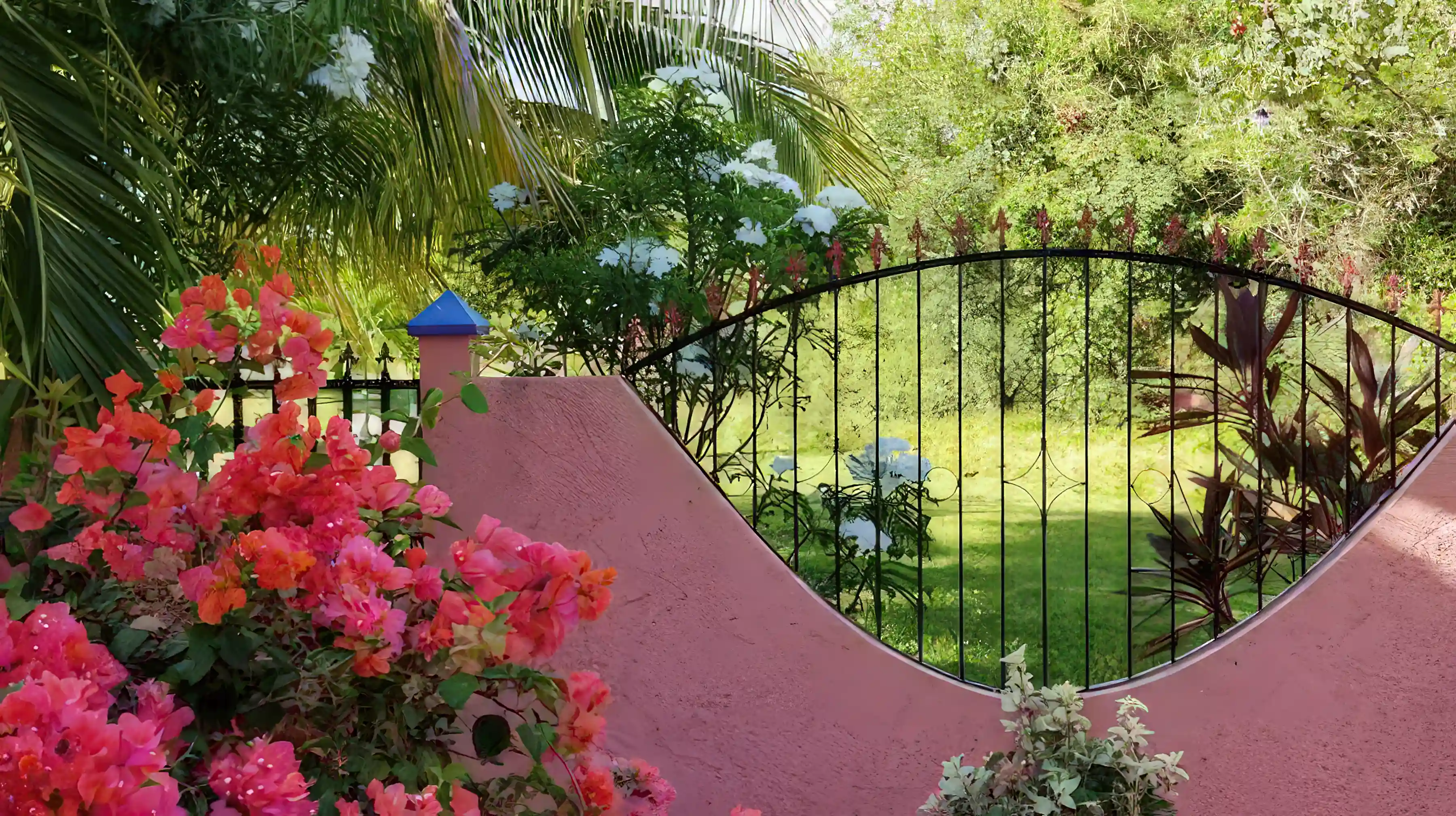 Tropical Flowers