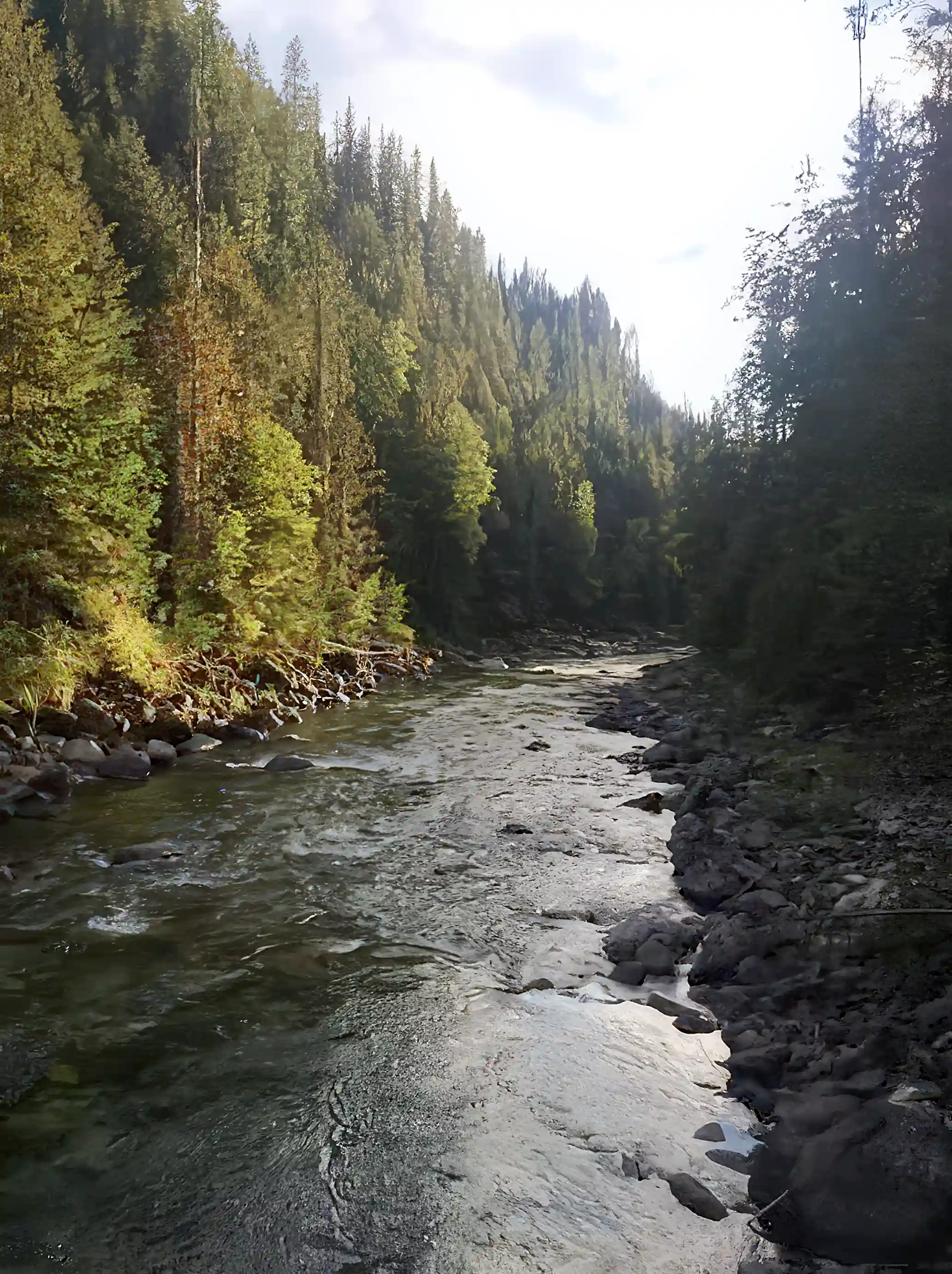Recreational Acreage for Sale in Remac, British Columbia, Canada