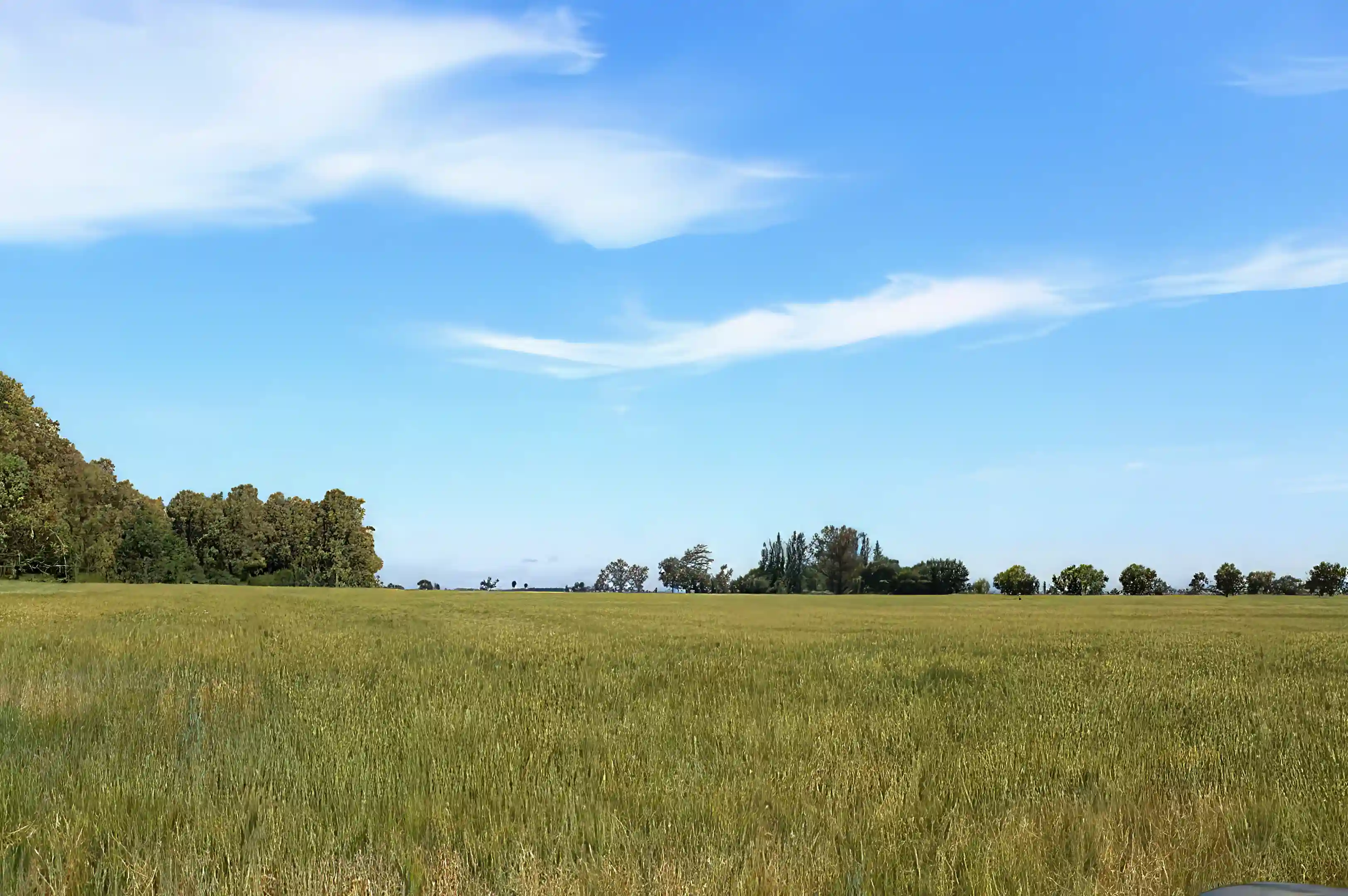Campos con Cultivos tradicionales.
Fields with traditional crops.