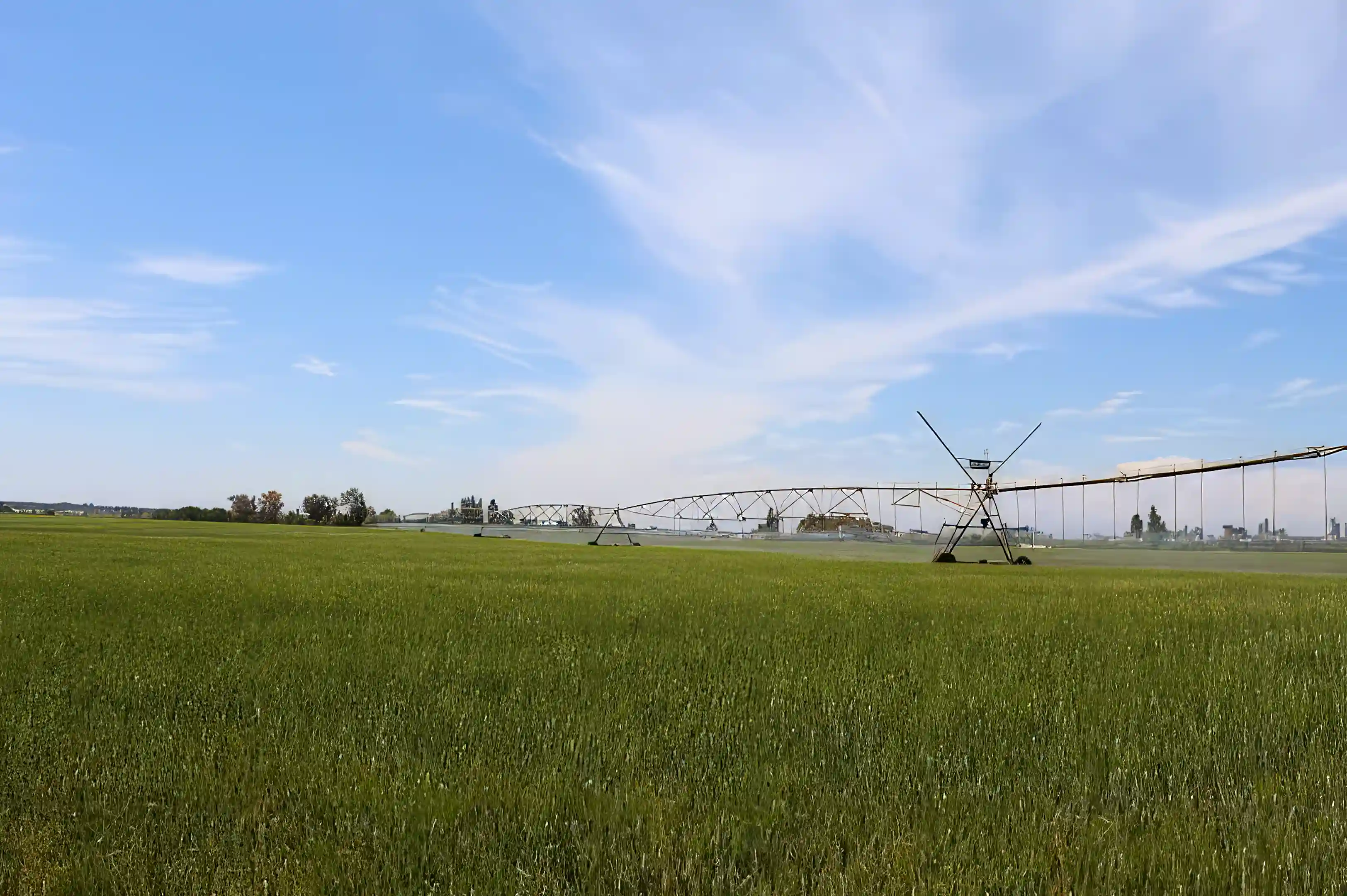 campos con riego tecnificado.
fields with technical irrigation.