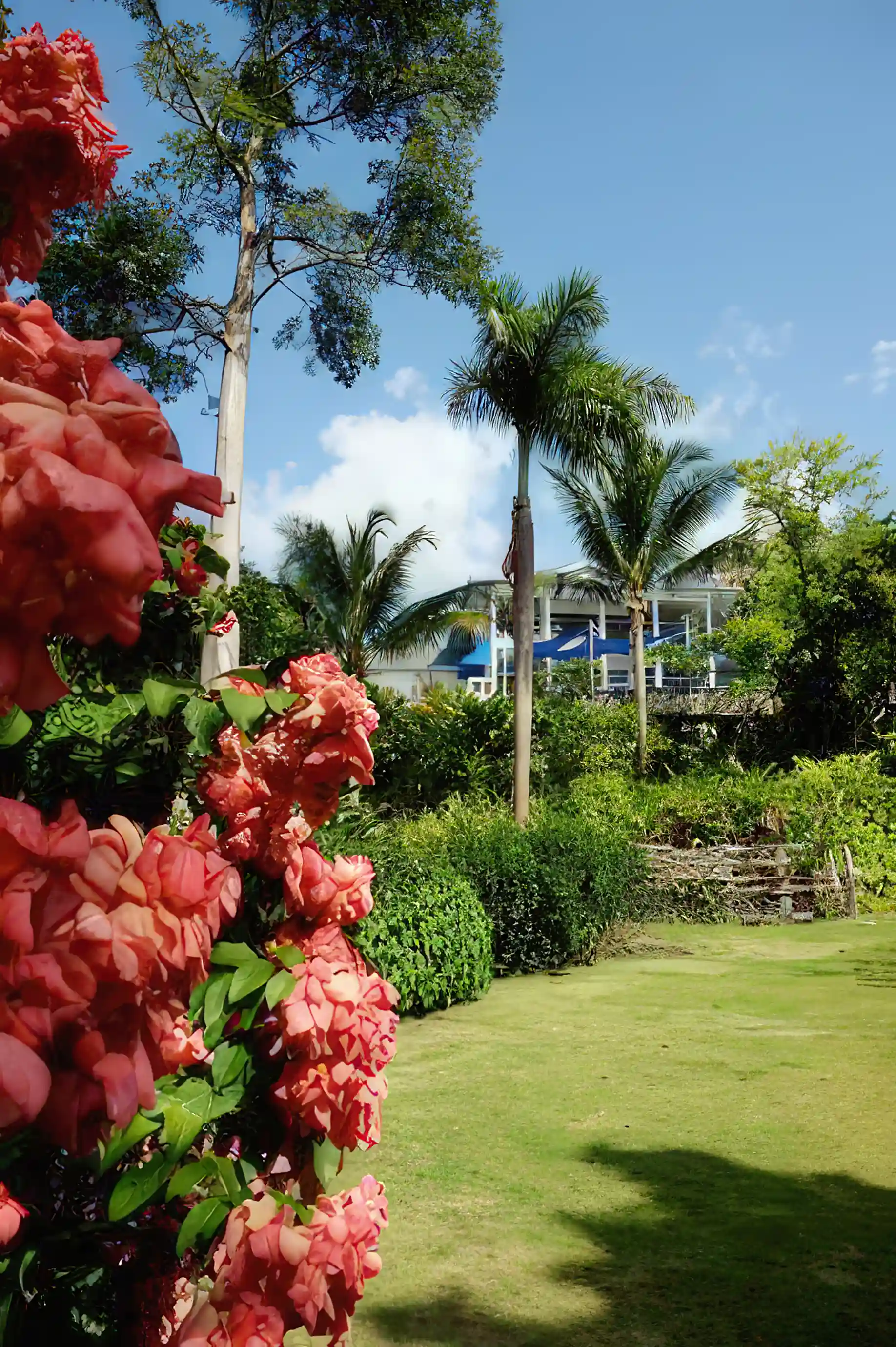 View of hotel from the garden
