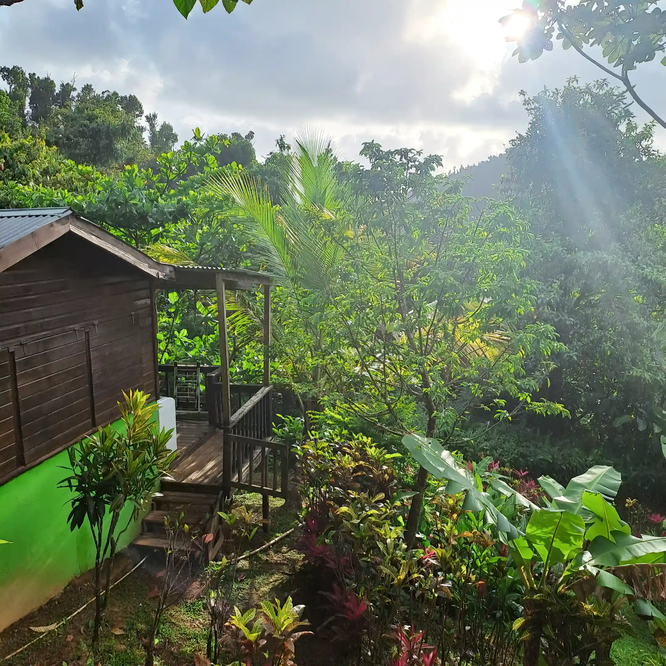 Property views