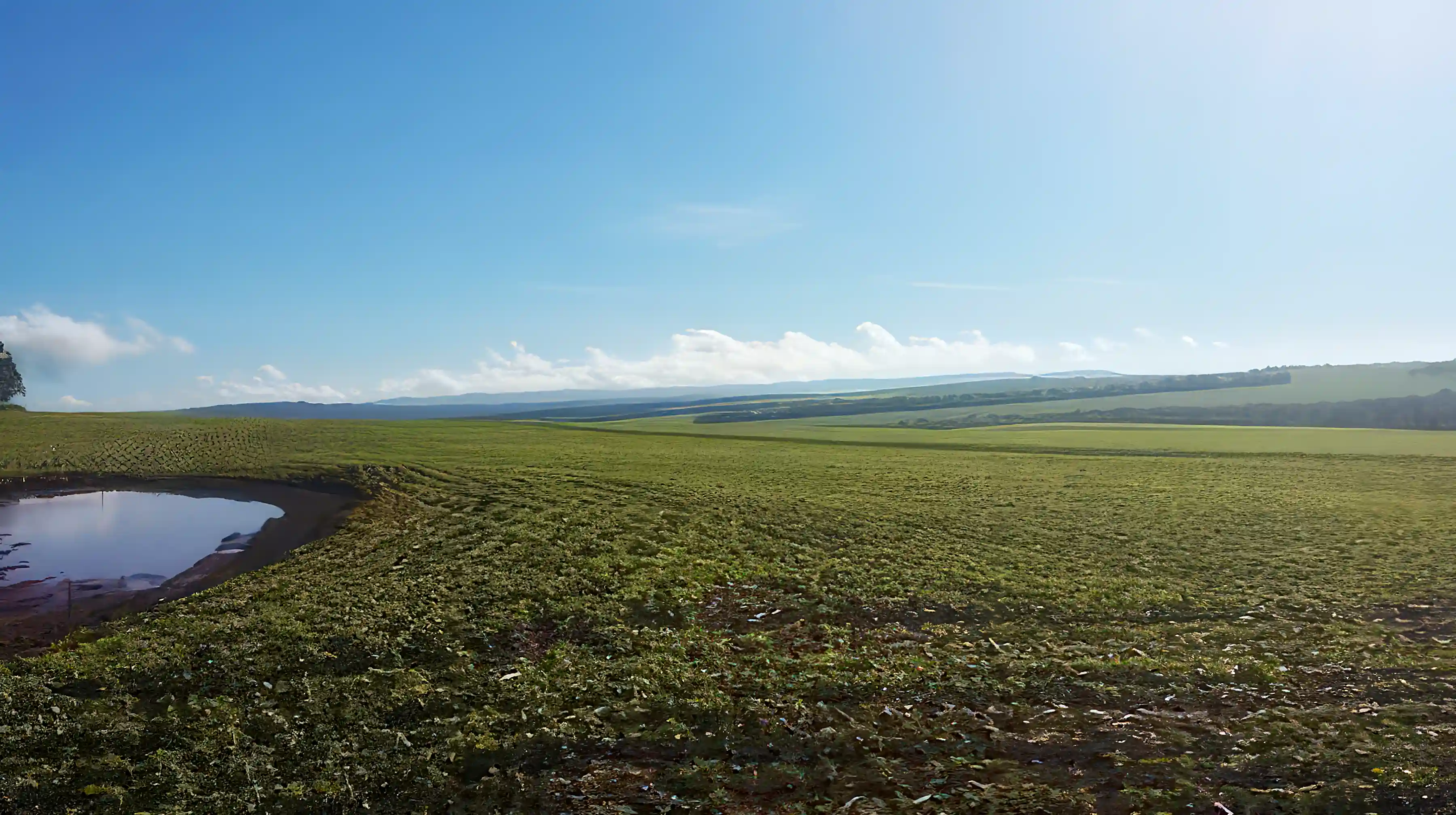 Soy Bean Agriculture Land for Sale in Asuncion, Paraguay