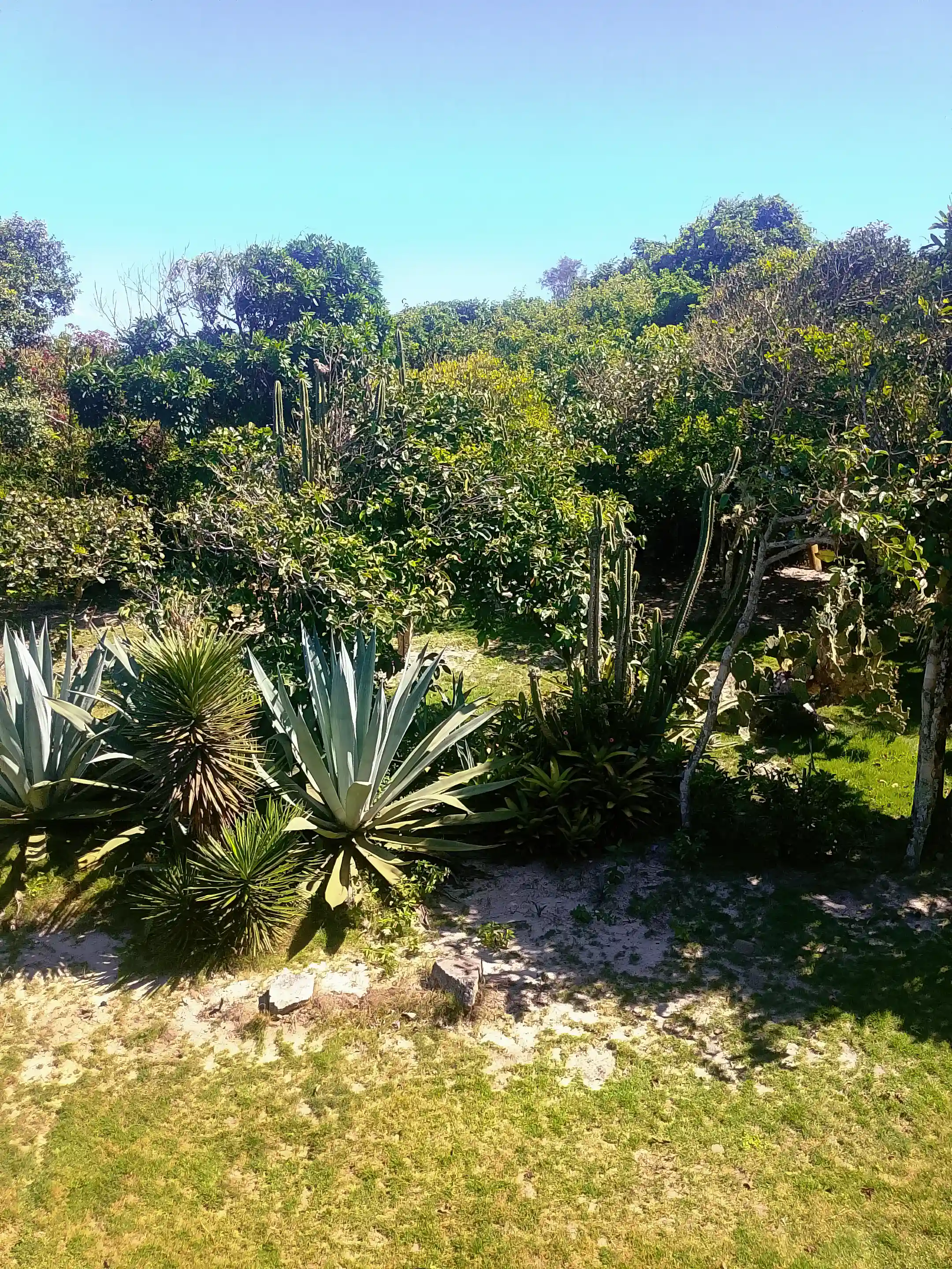Gardens