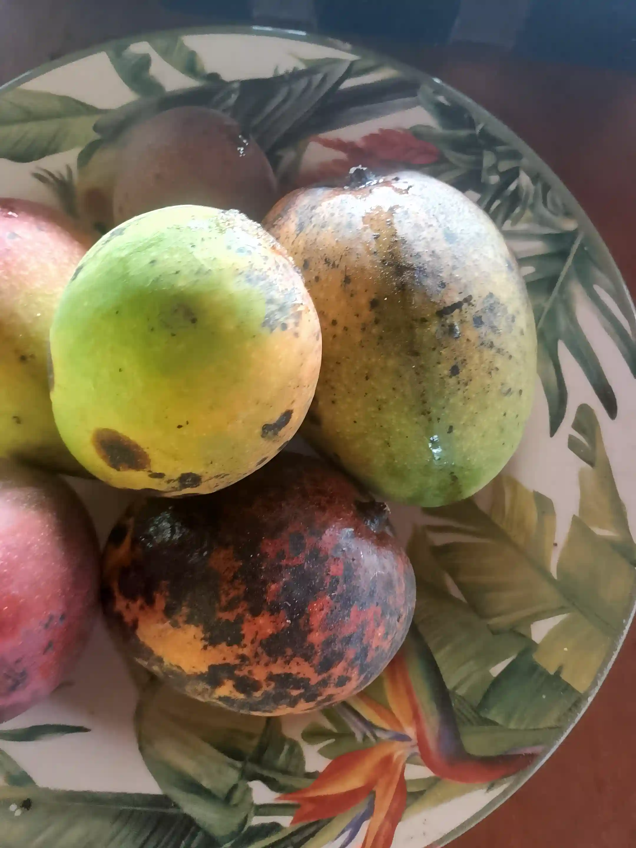 Fresh organic mangos from the land