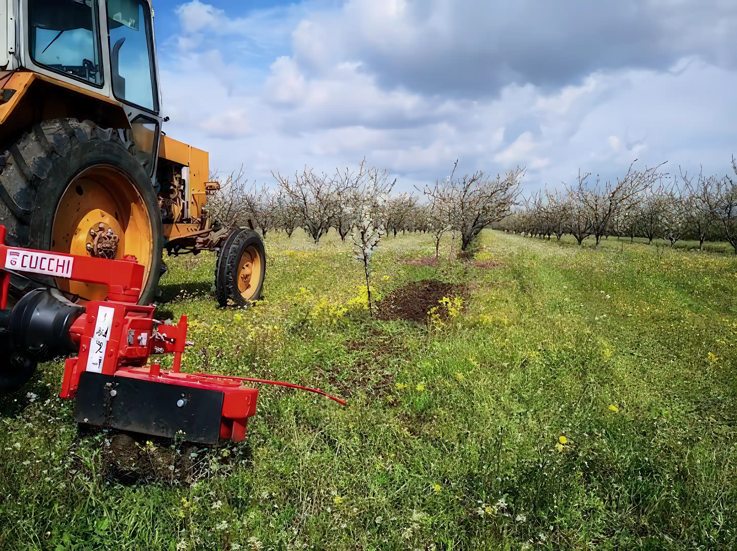 Fruit Production Business for Sale in Bata, Pomorie, Bulgaria