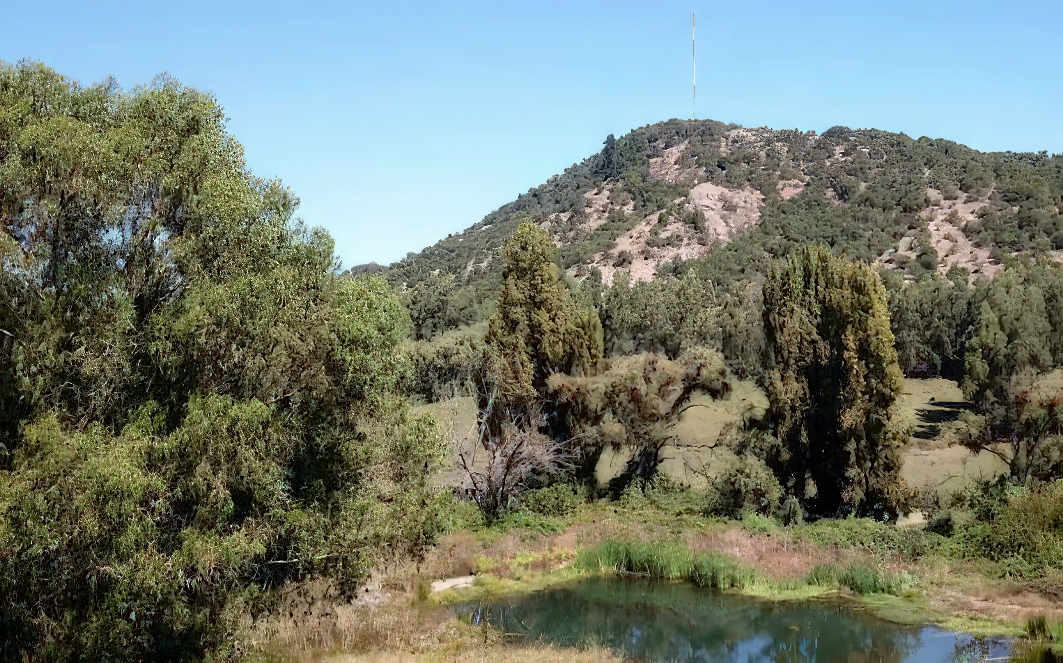 House on 4.8 Hectares of Land for Sale in San Clemente, Maule, Chile