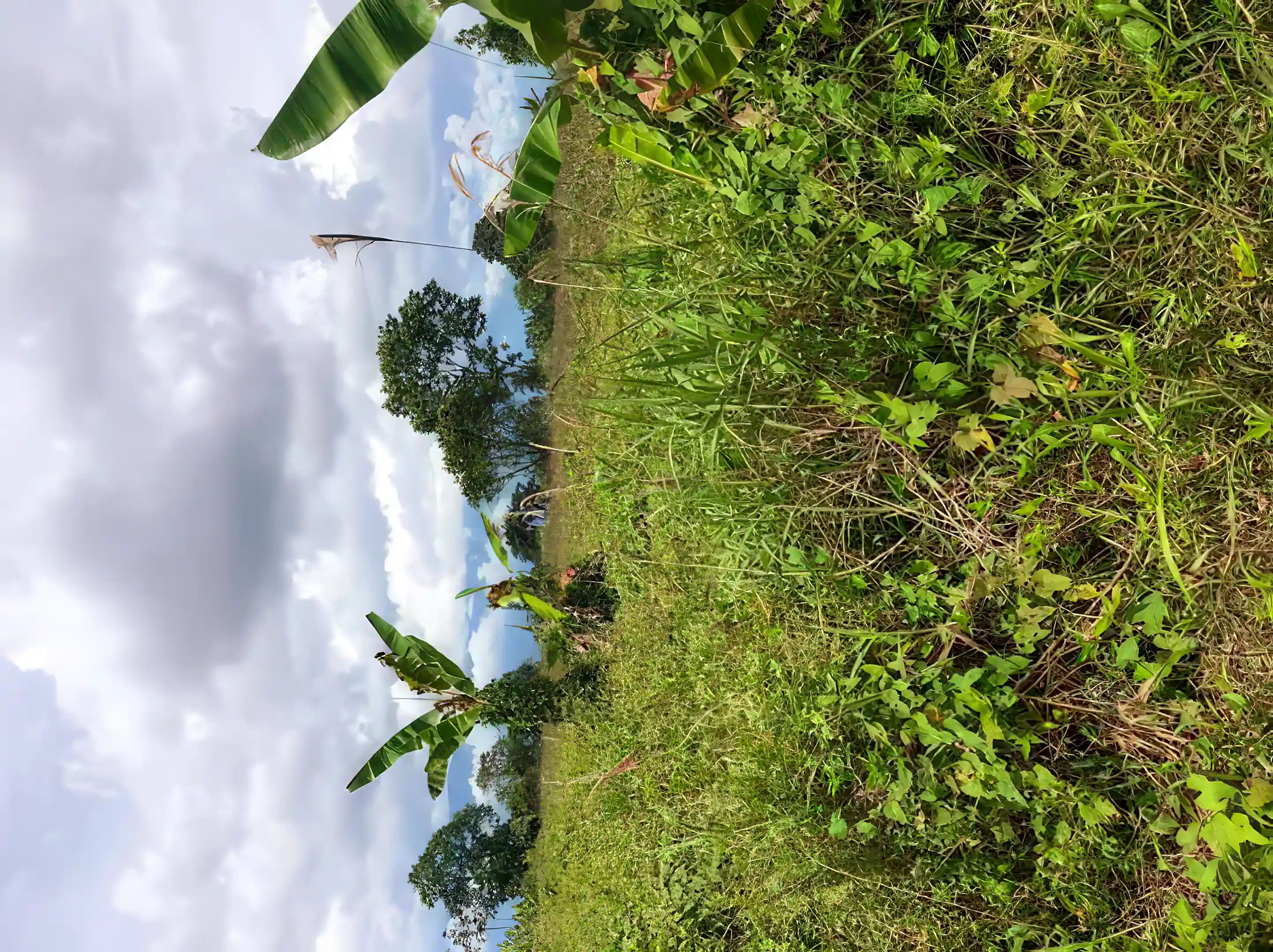 30 Acres of Land for Sale in Armenia, Quindio, Colombia