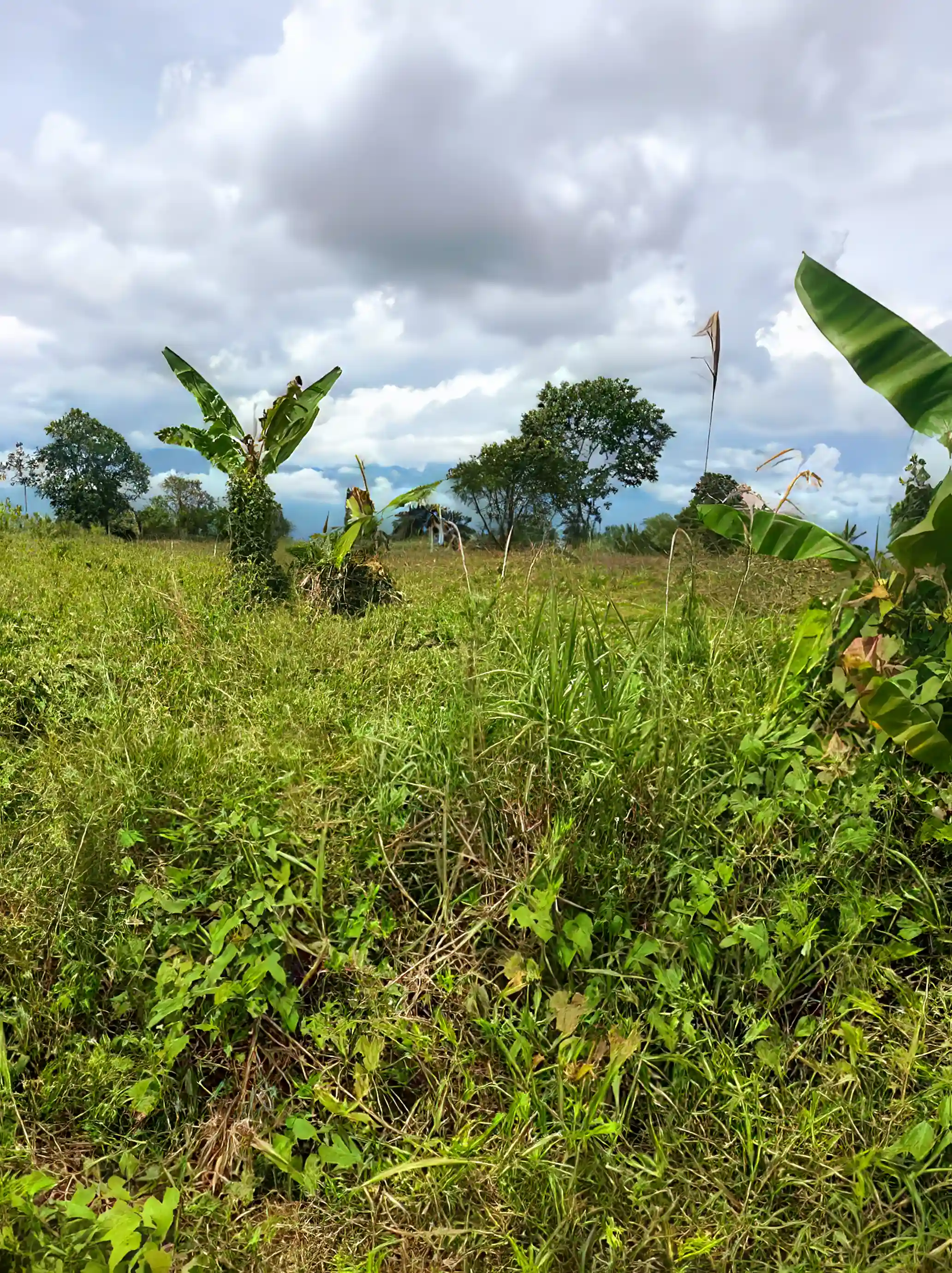 30 Acres of Land for Sale in Armenia, Quindio, Colombia