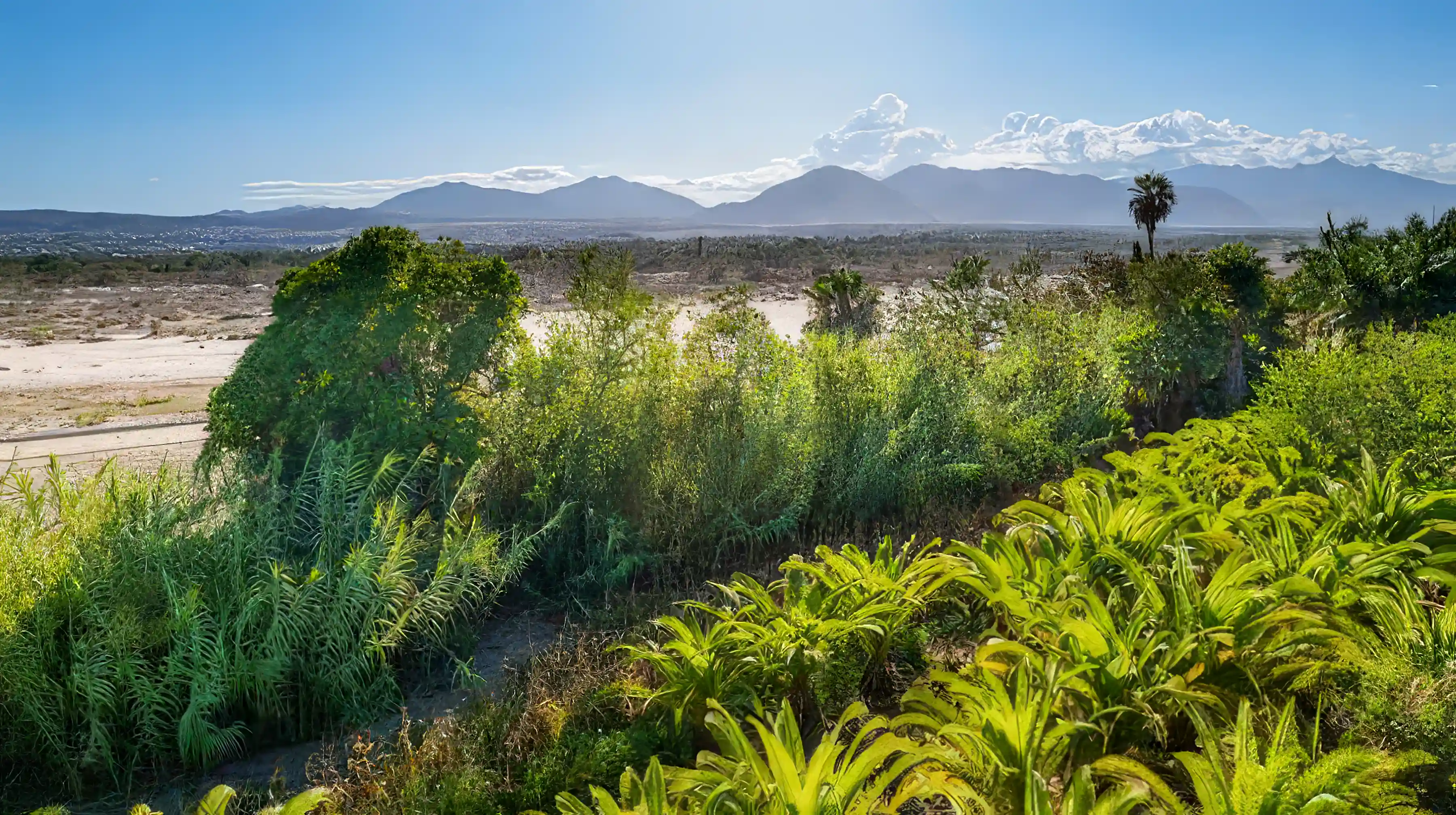 Farm/Ranch for Sale in Las Animas De Enmedio, Las Animas, San Jose Del