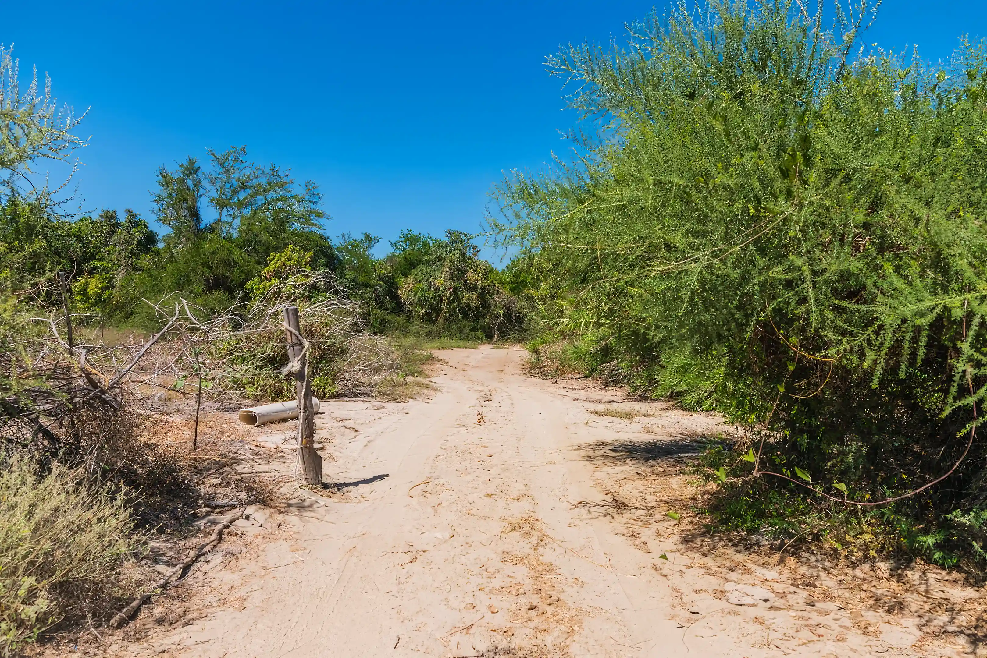 Farm/Ranch for Sale in Las Animas De Enmedio, Las Animas, San Jose Del