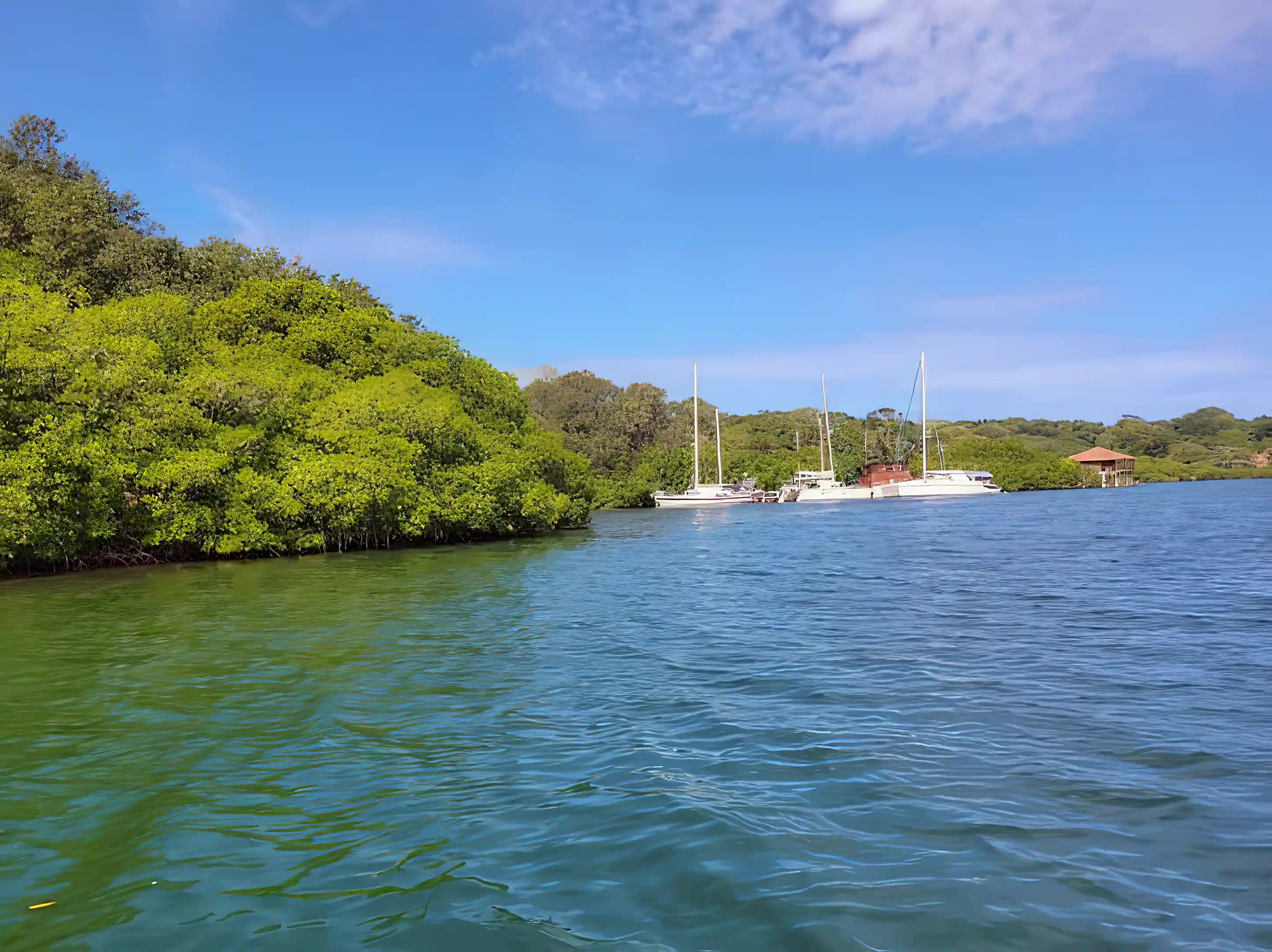 Deep Water Marina in Isla De La Bahia Roatan, Roatan, Bay Islands, Honduras