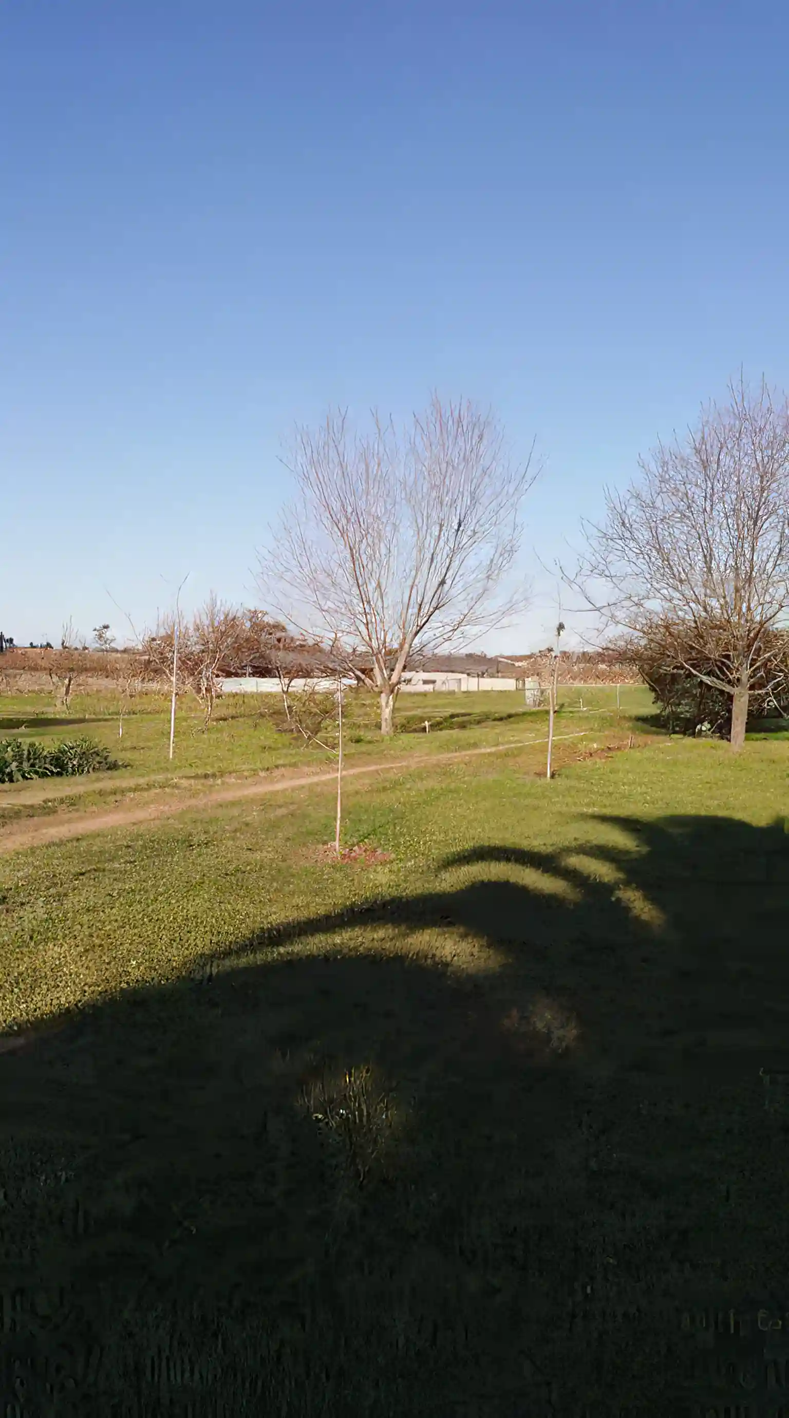 Farm/Ranch for Sale in Montevideo, Uruguay