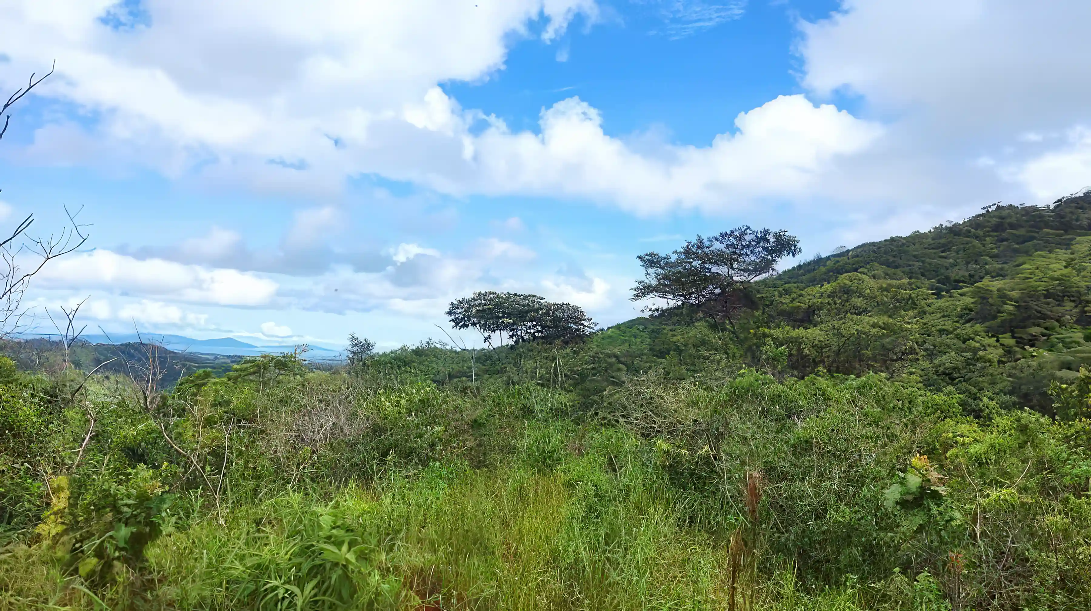 Land for Sale in Bajo Grande, Mariato, Veraguas, Panama