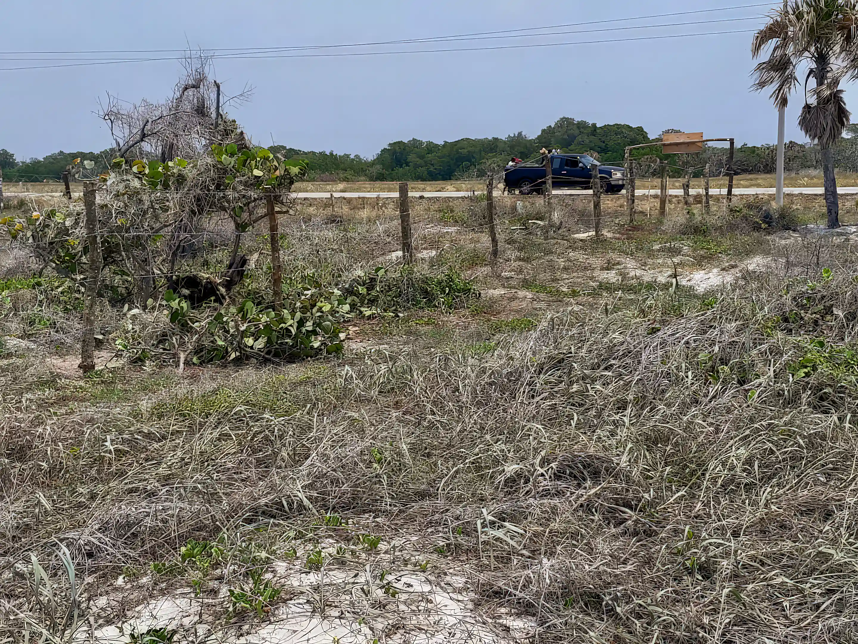 Oceanfront Lot for Sale in Isla Aguada, Campeche, Mexico