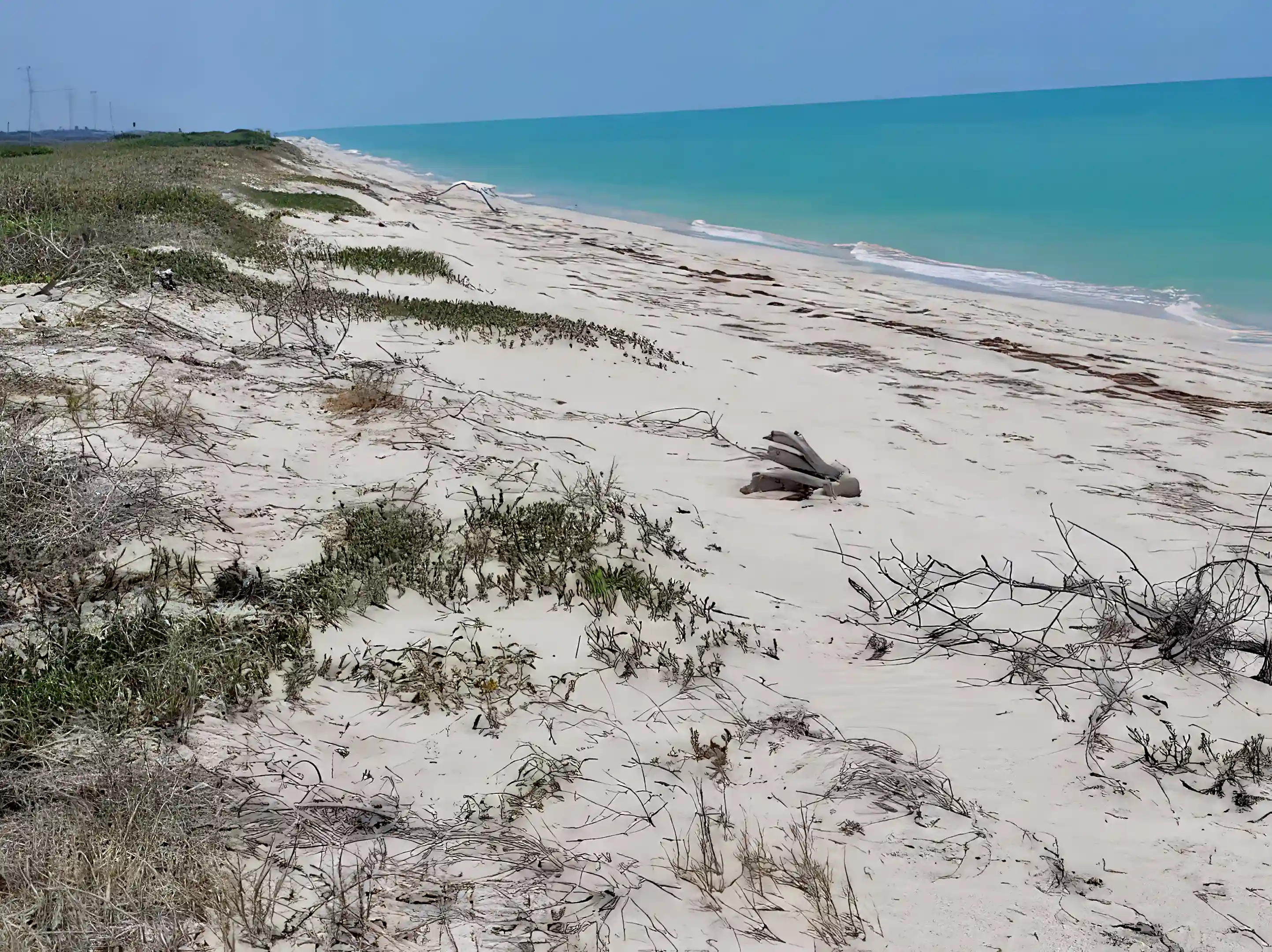 Oceanfront Lot for Sale in Isla Aguada, Campeche, Mexico