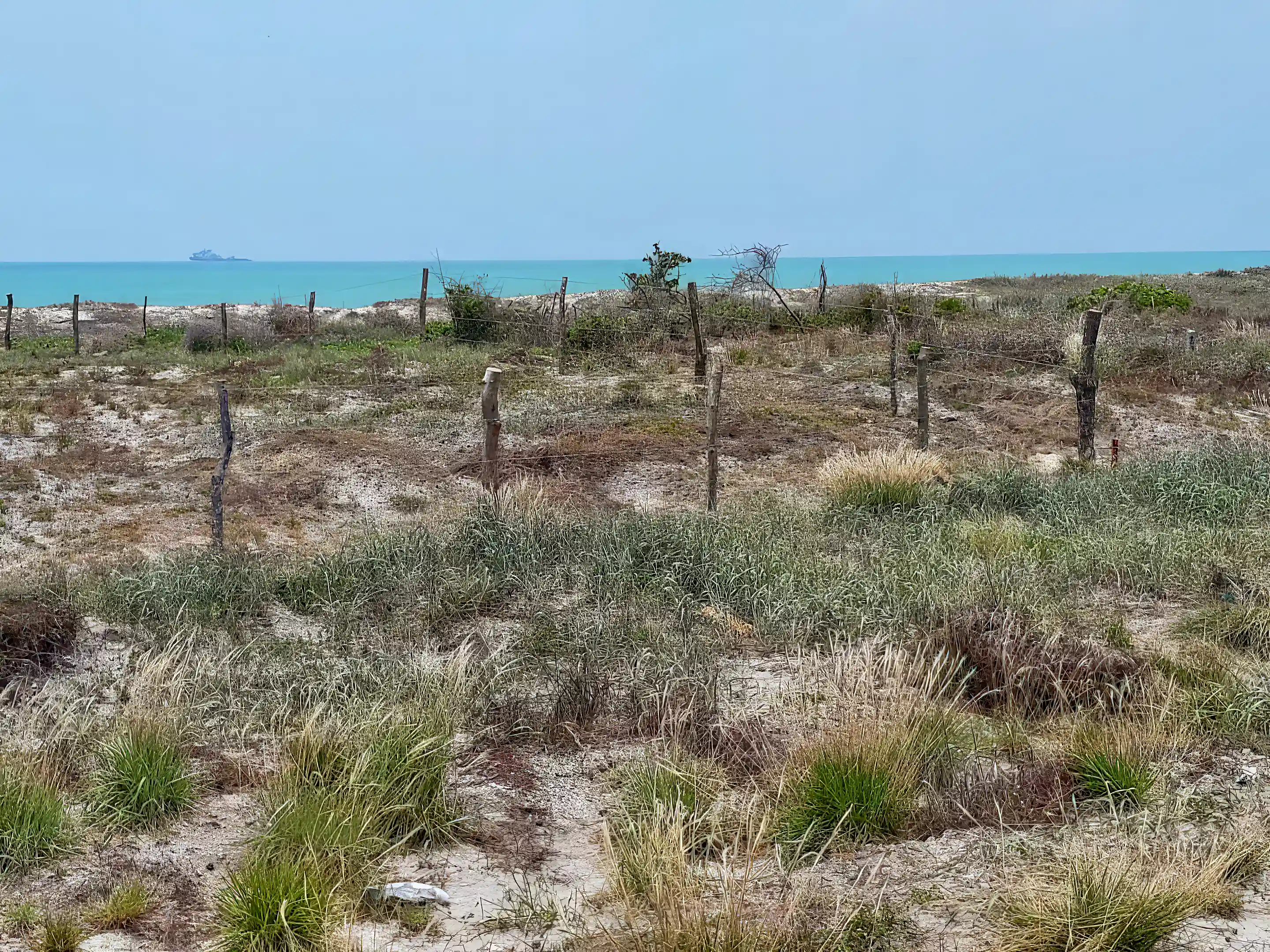Oceanfront Lot for Sale in Isla Aguada, Campeche, Mexico
