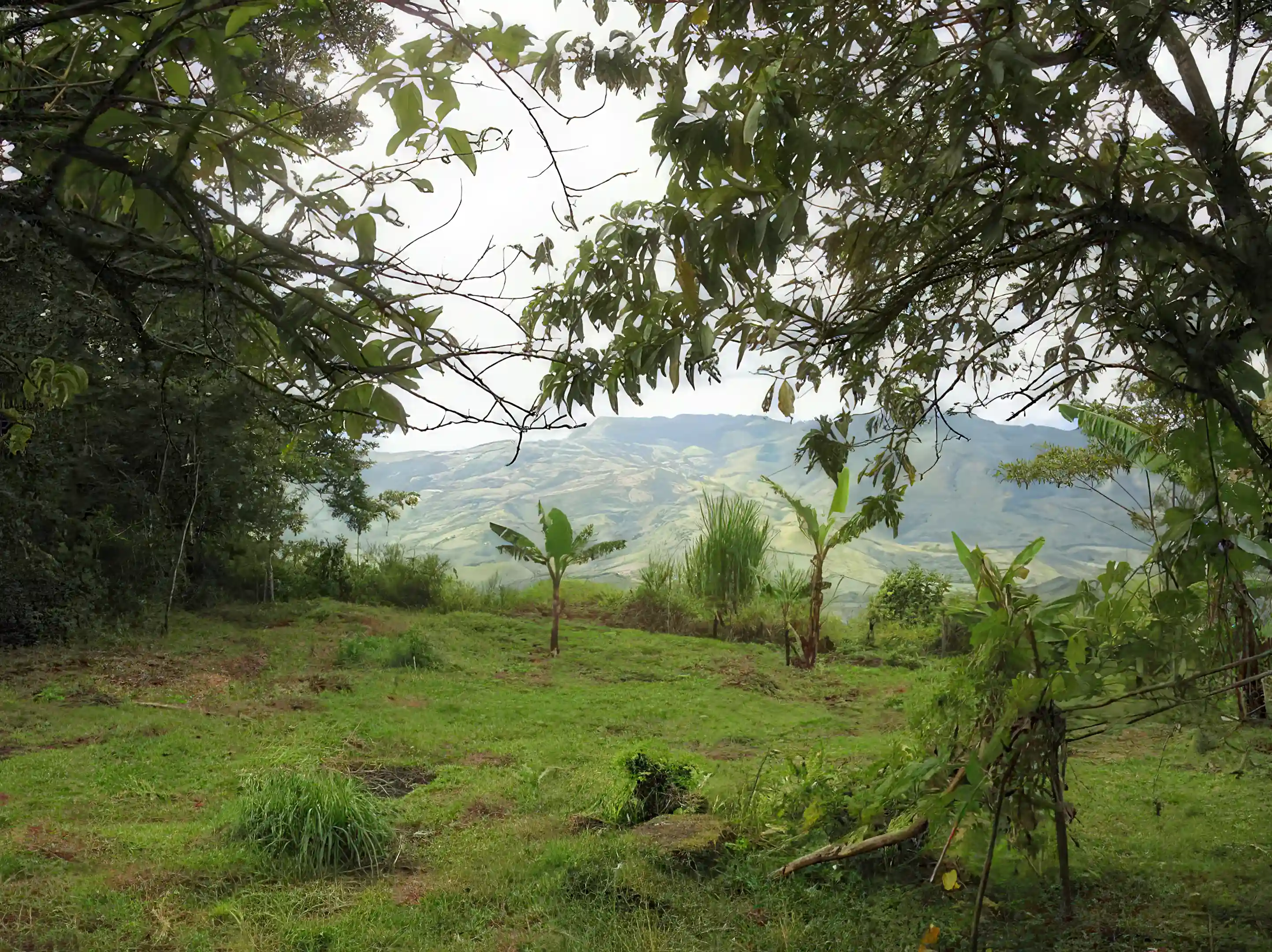 Farm for Sale in Estelí, Nicaragua