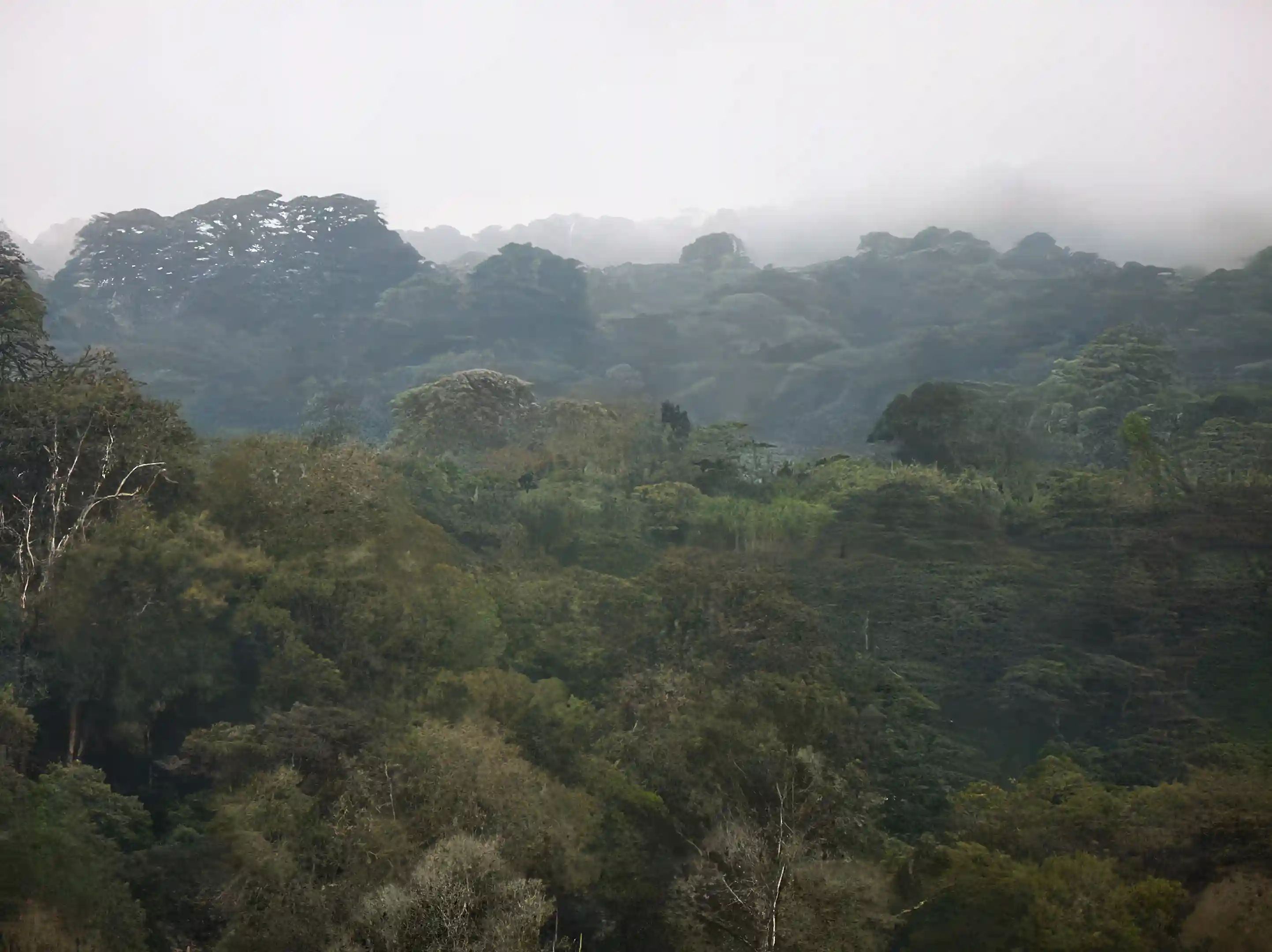 Farm for Sale in Estelí, Nicaragua Viviun
