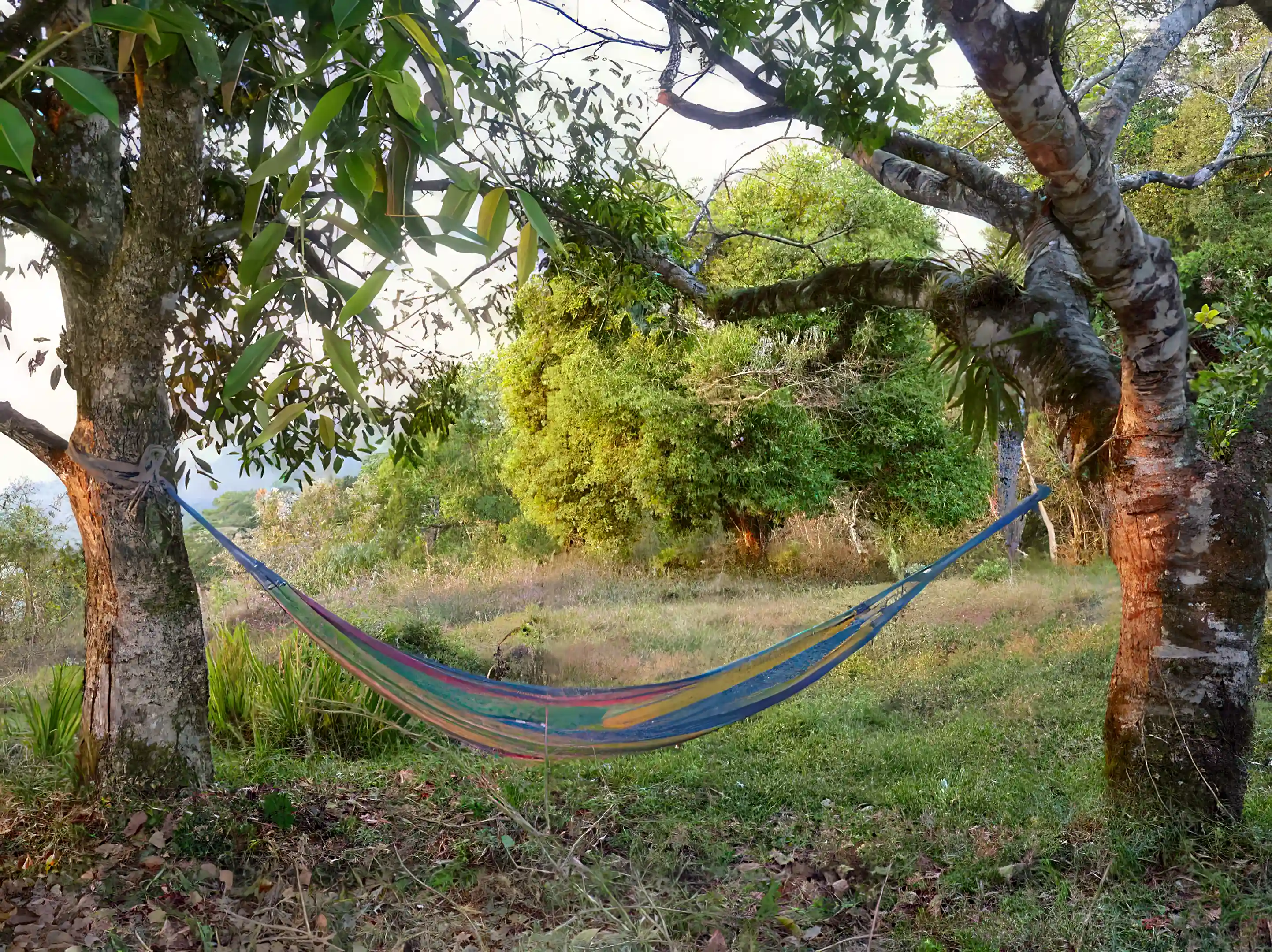 Farm for Sale in Estelí, Nicaragua Viviun