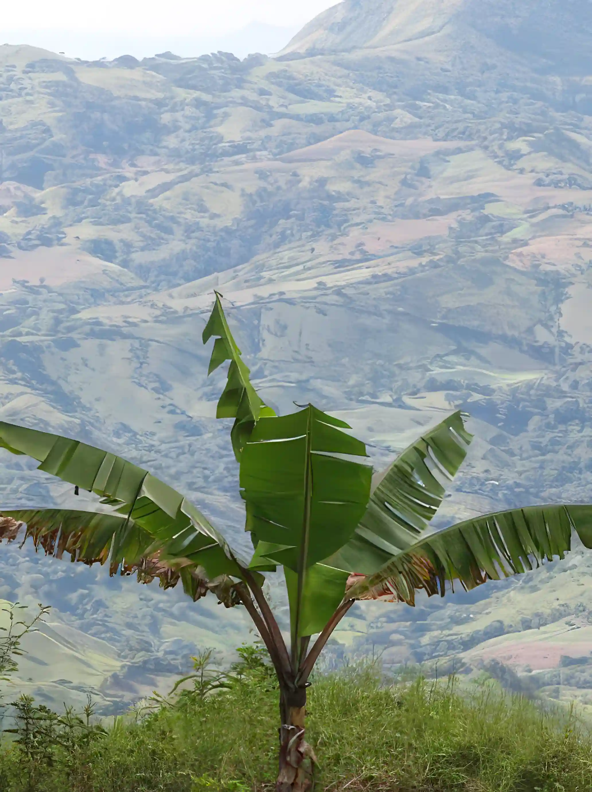 Farm for Sale in Estelí, Nicaragua