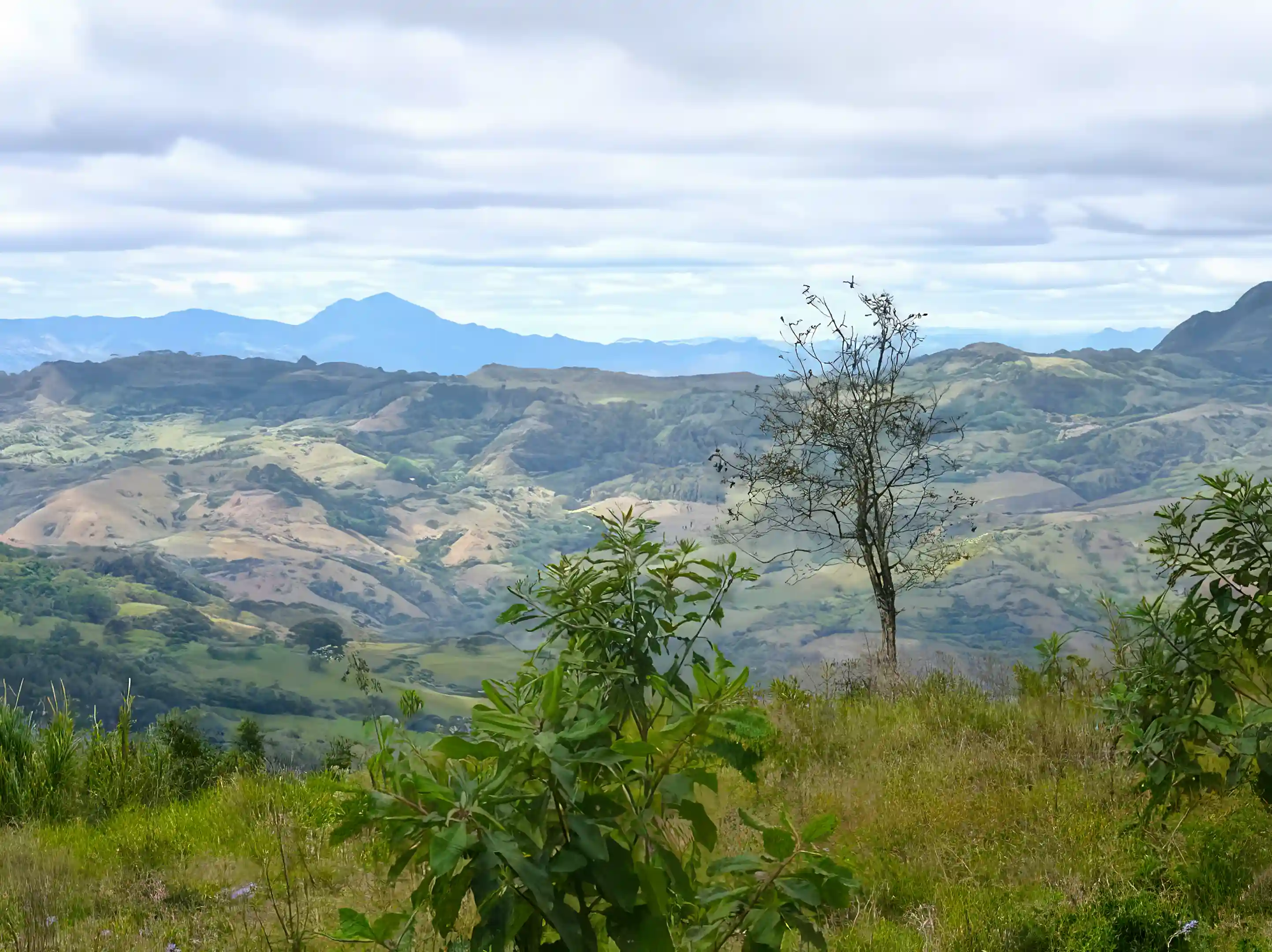 Farm for Sale in Estelí, Nicaragua Viviun
