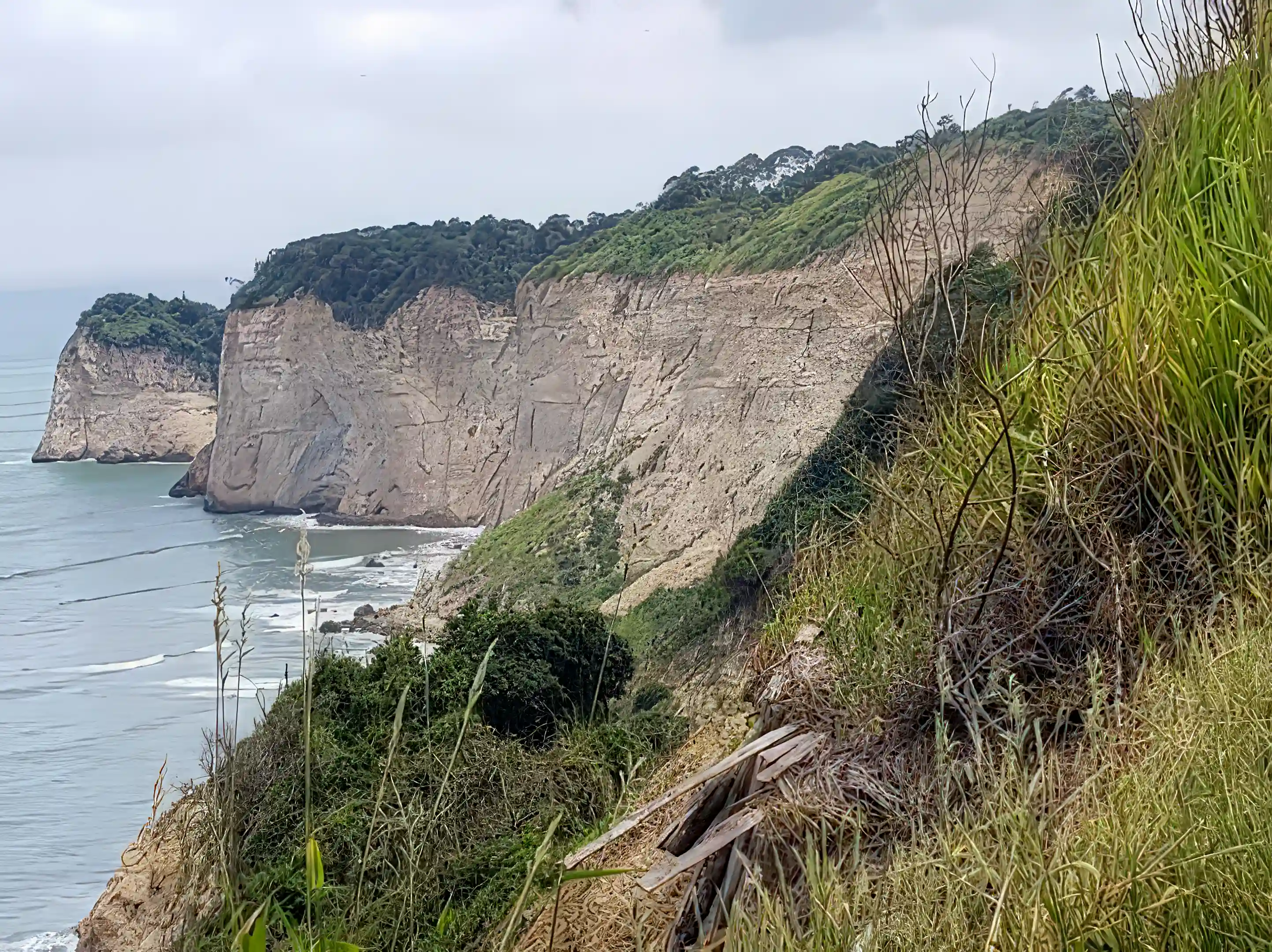 Oceanfront Property for Sale in Canoa, Manabi, Ecuador