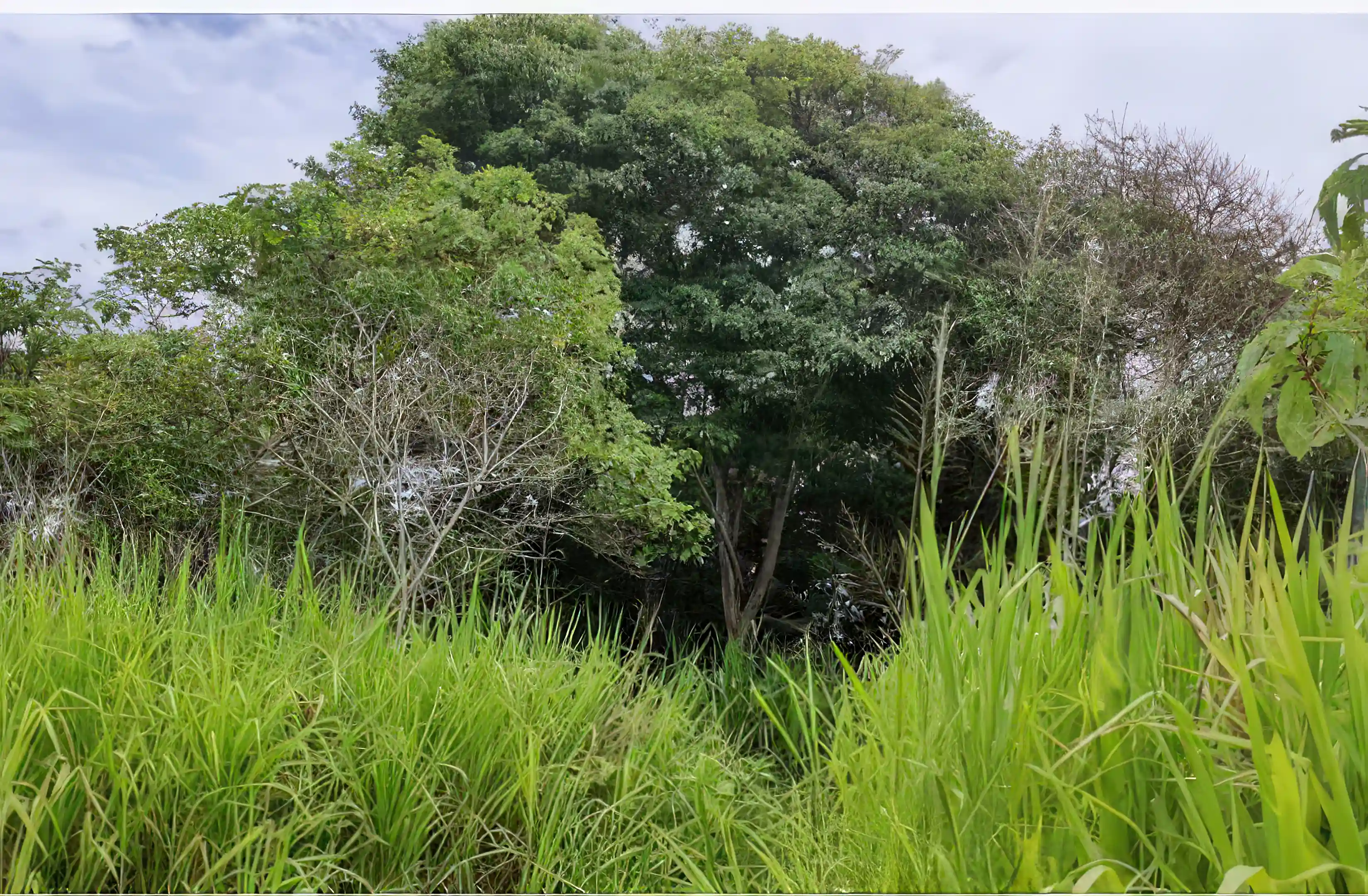 Oceanfront Property for Sale in Canoa, Manabi, Ecuador