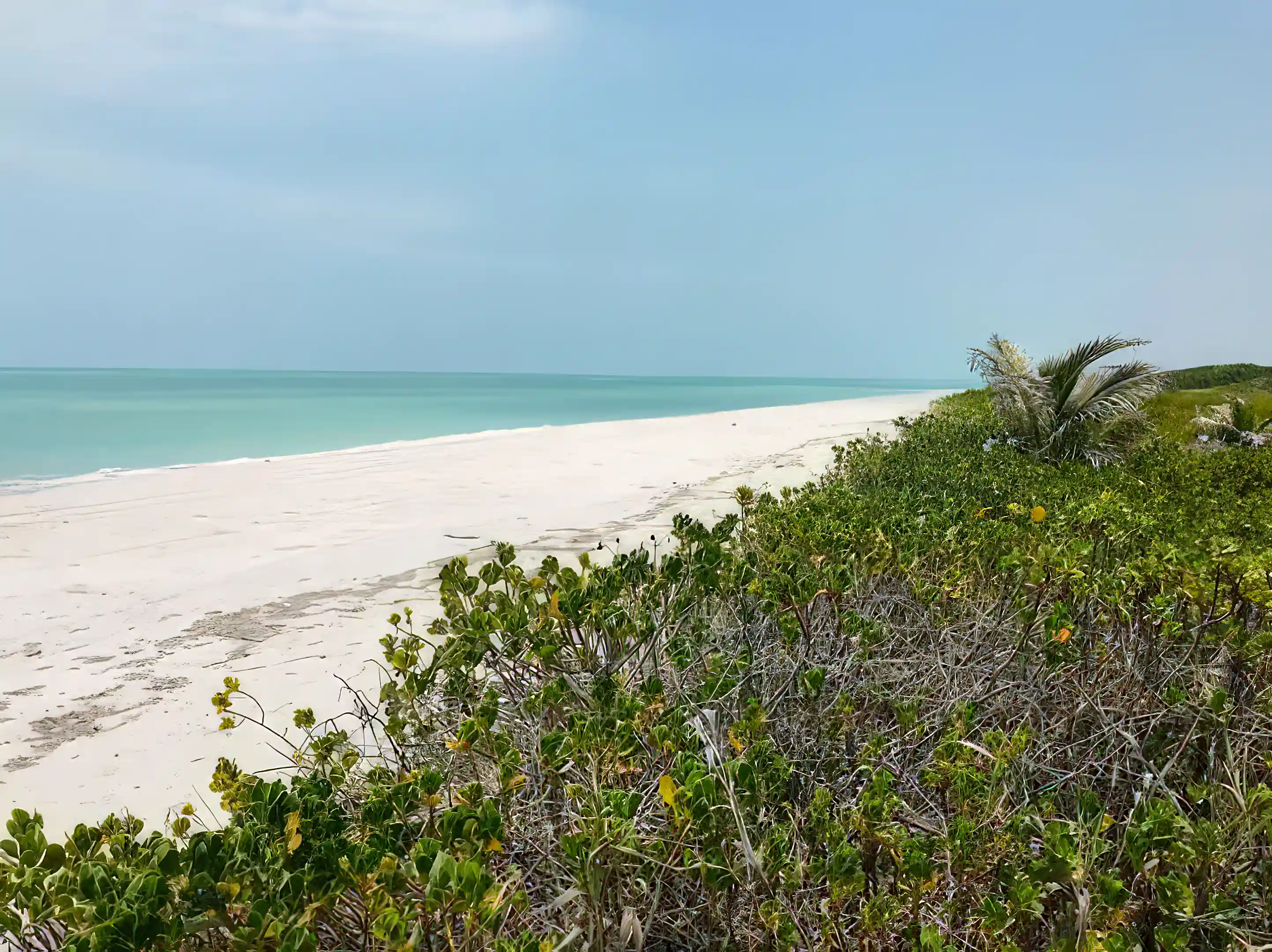 Waterfront Lots for Sale in Isla Aguada, Campeche, Mexico