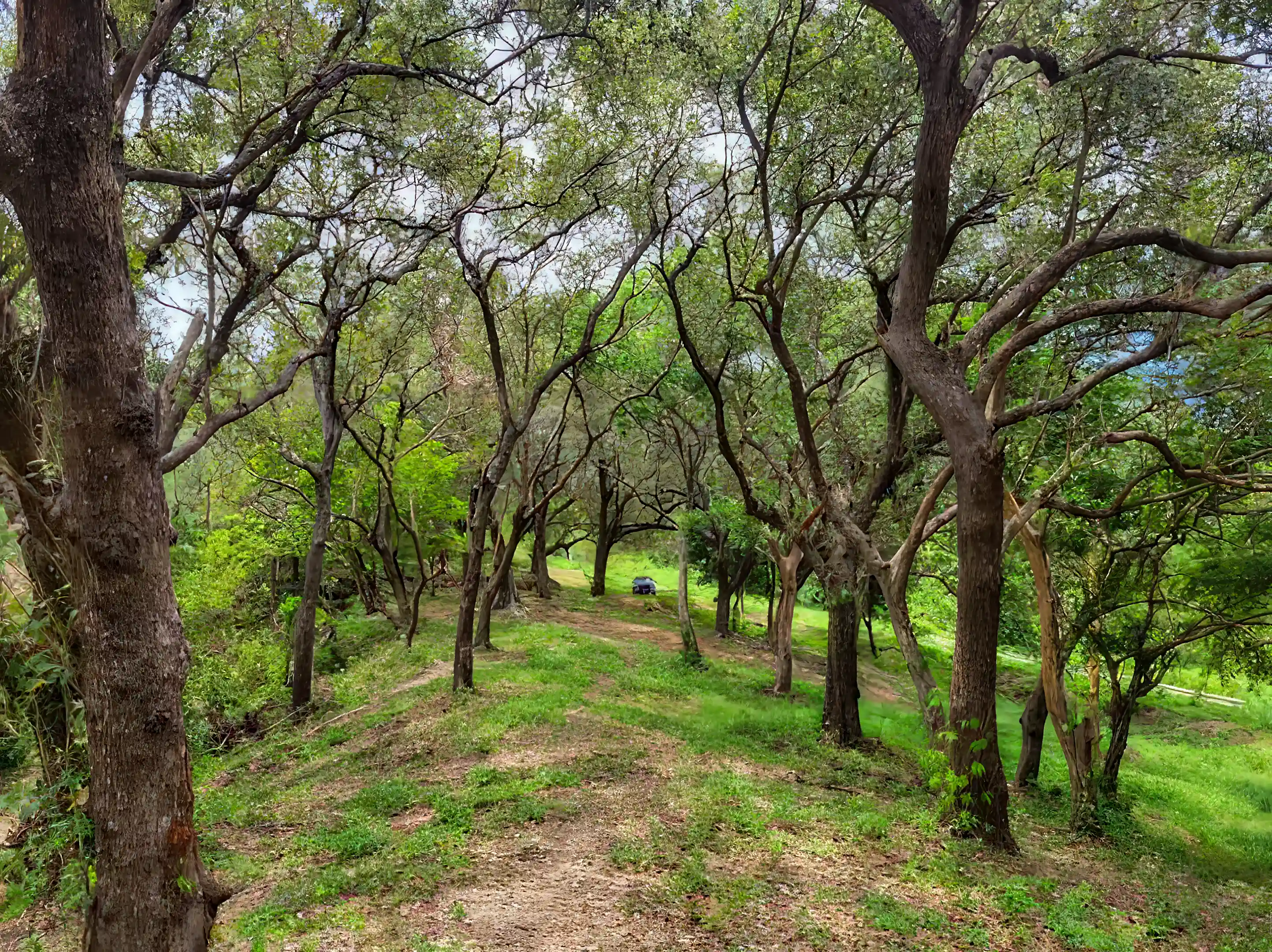Unique Beachfront Property for Sale in Calabash Bight, Roatan, Bay