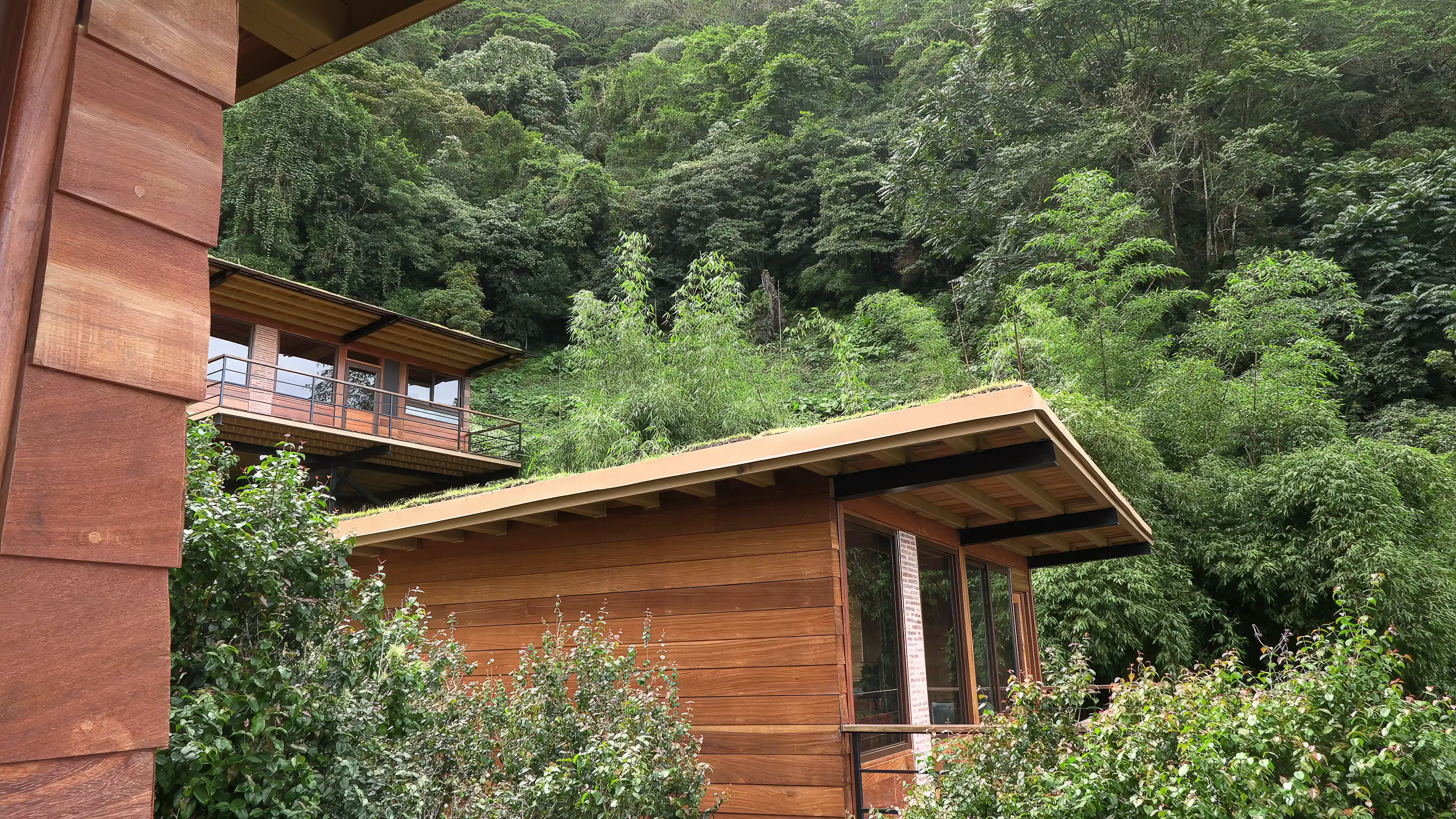the three hanging huts. made of Amargo-Amargo. Extremely hard and...