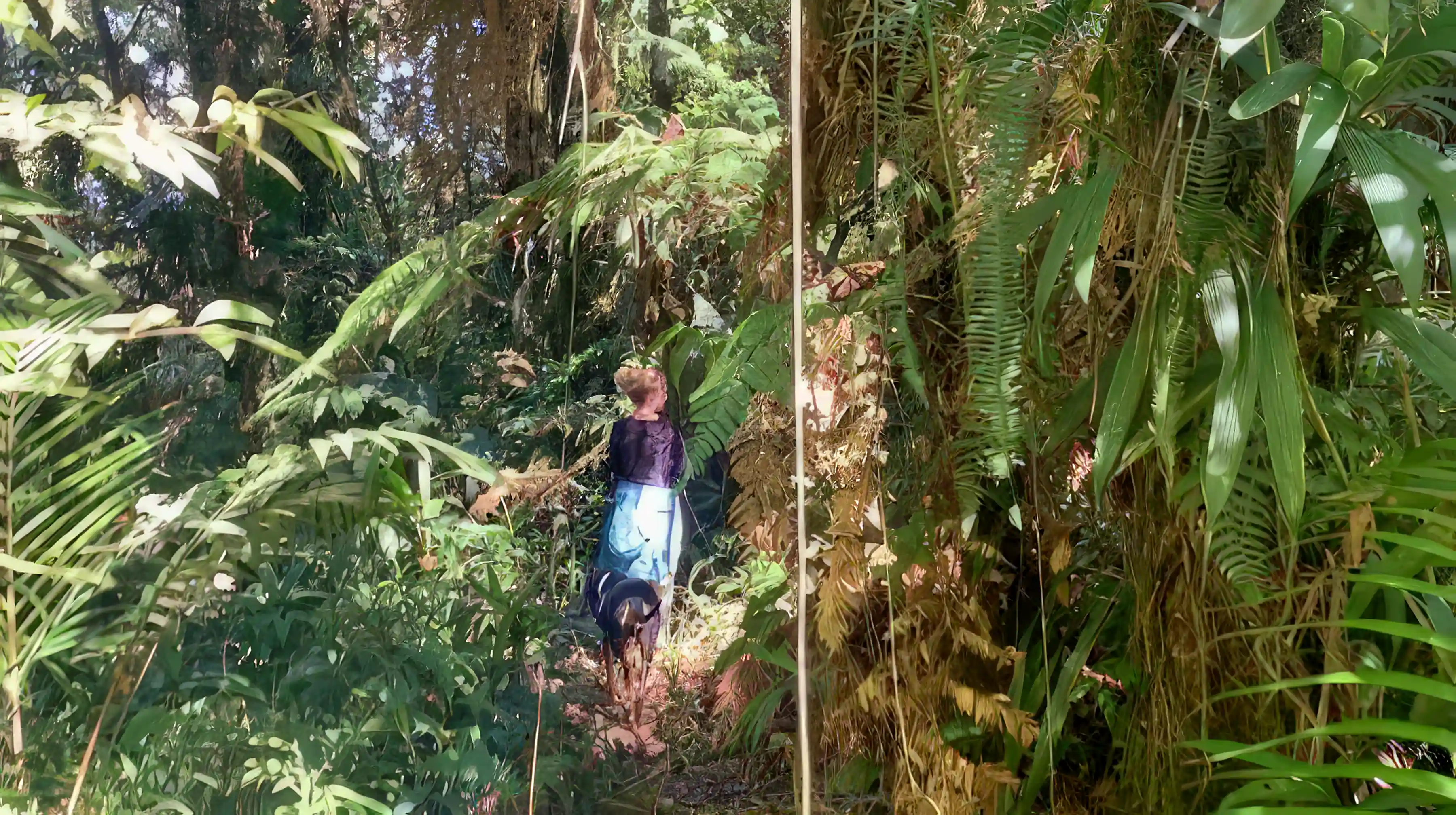 The surrounding cloud forest is just gorgeous, it is a...