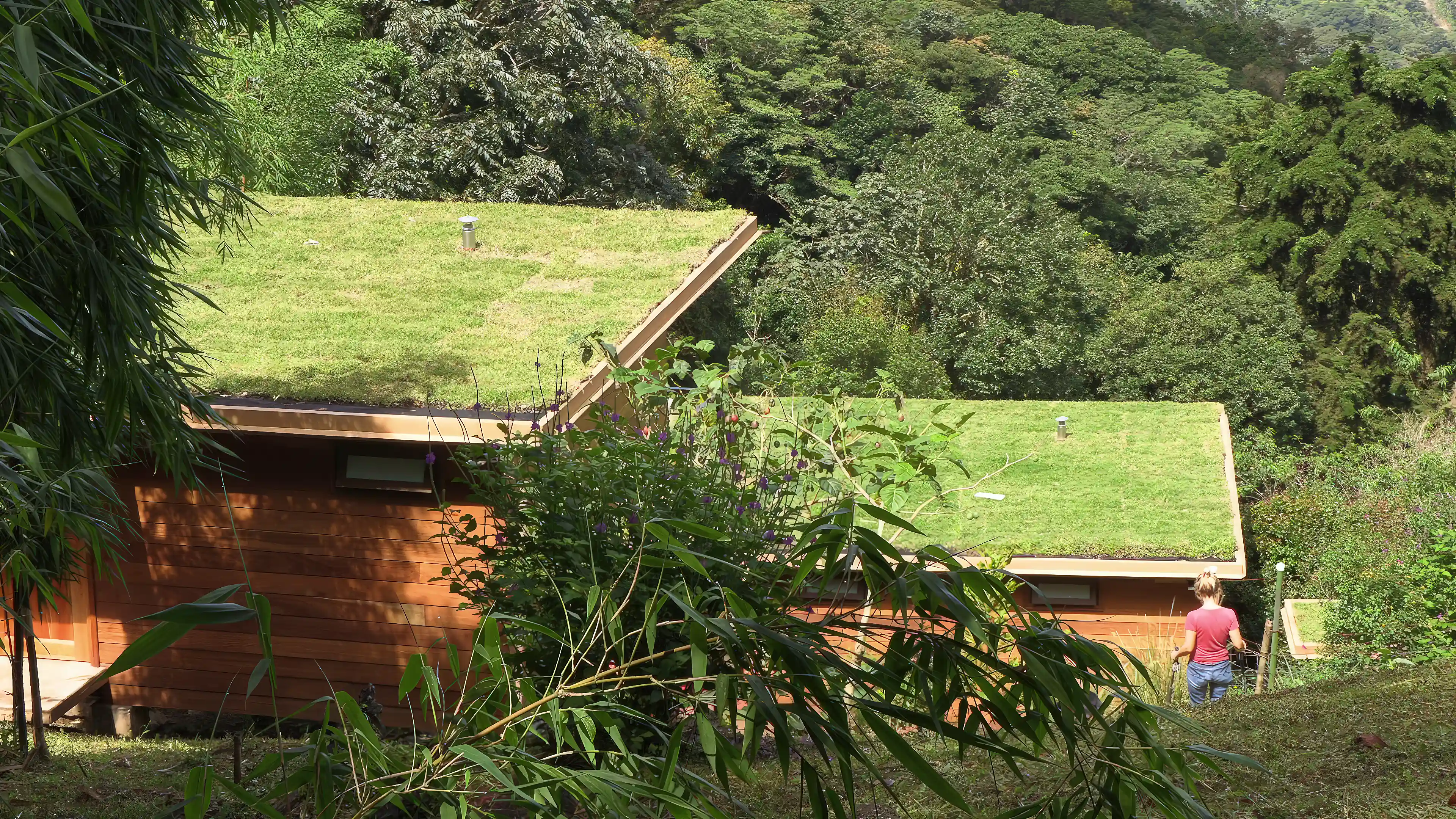 All the roofs are vegetated. they allow a very nice...
