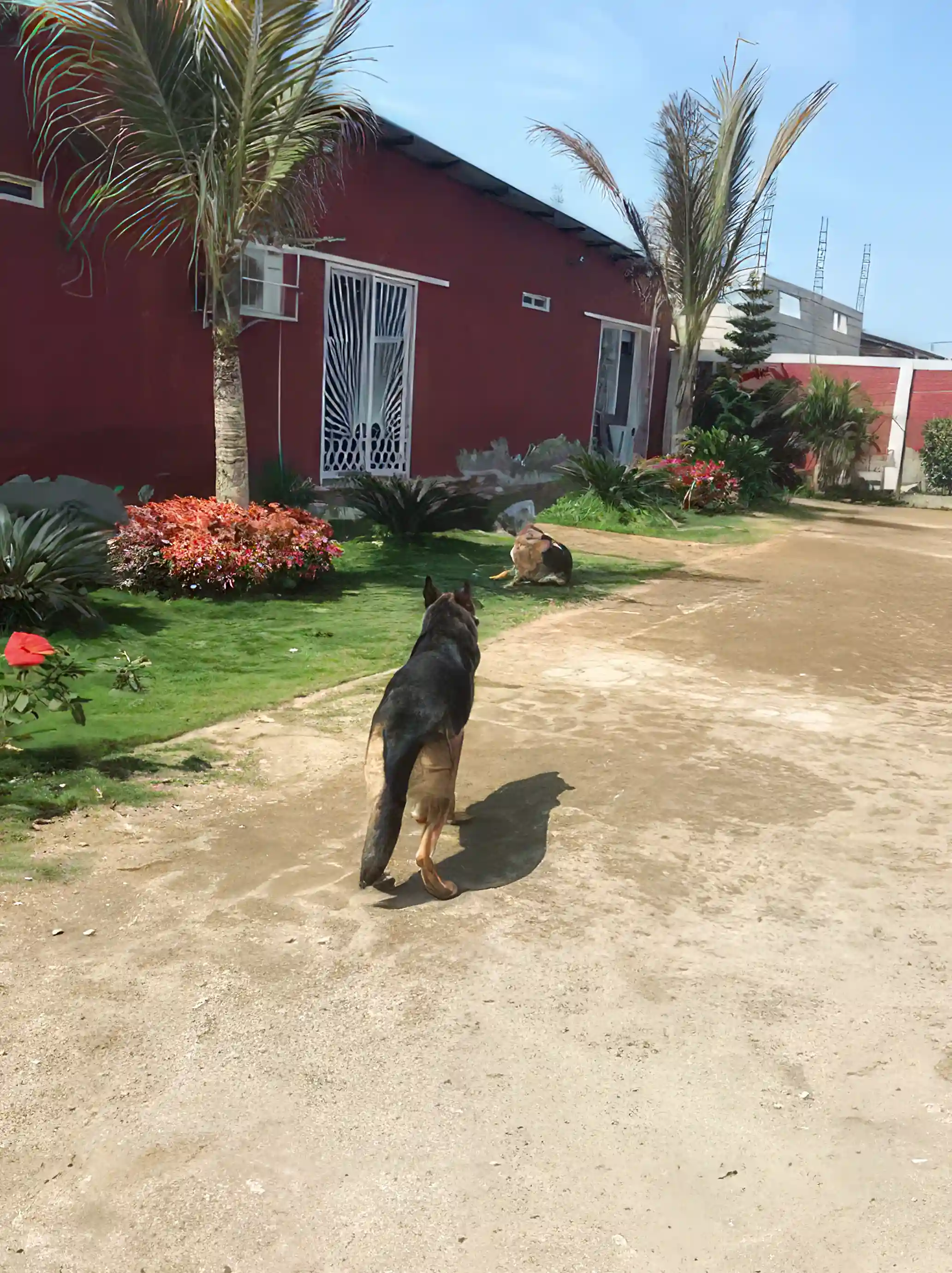 Home for Sale in Playas, Guayas, Ecuador