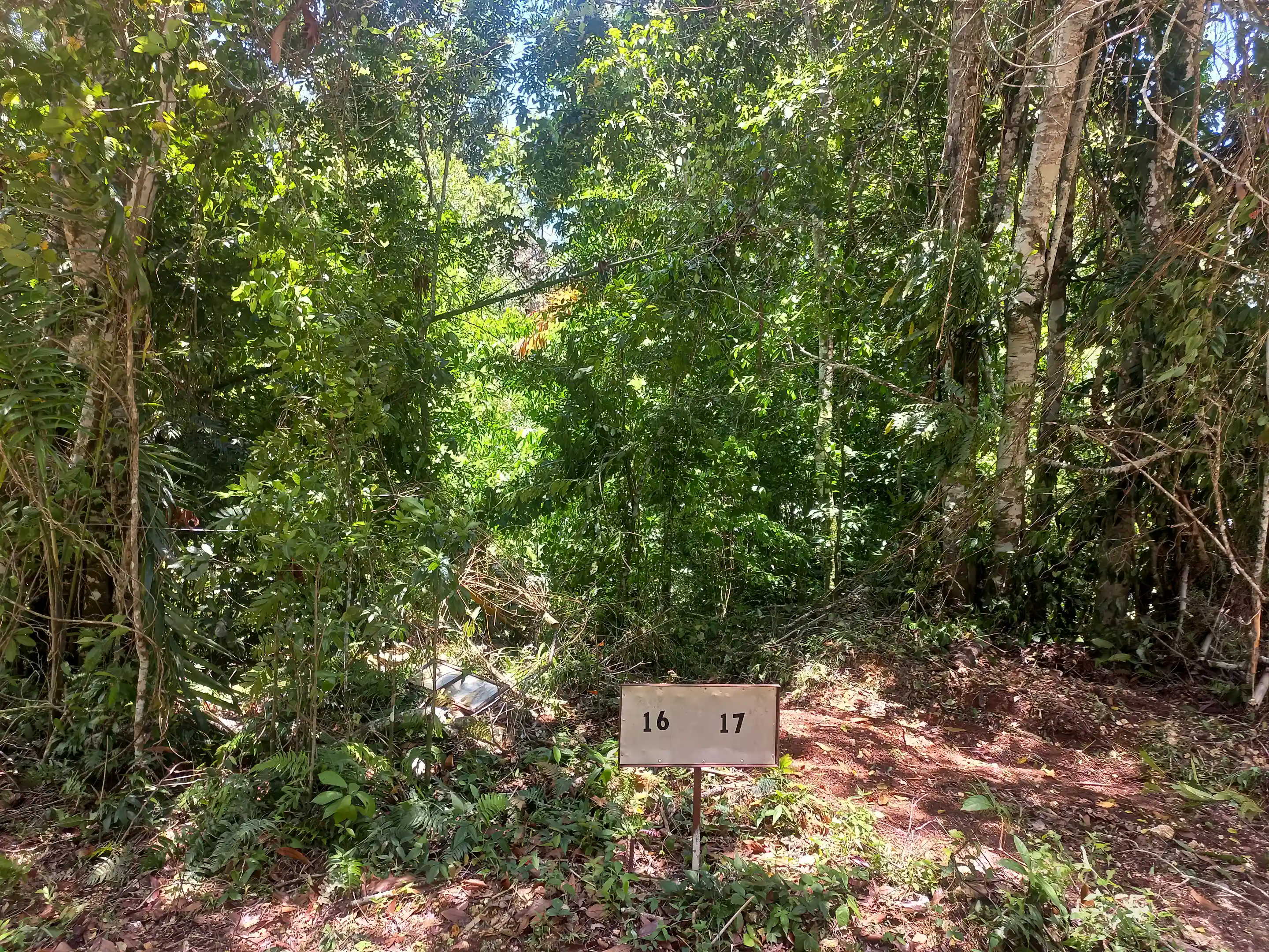 The Estates Lot #16 & Lot 17 Boundary