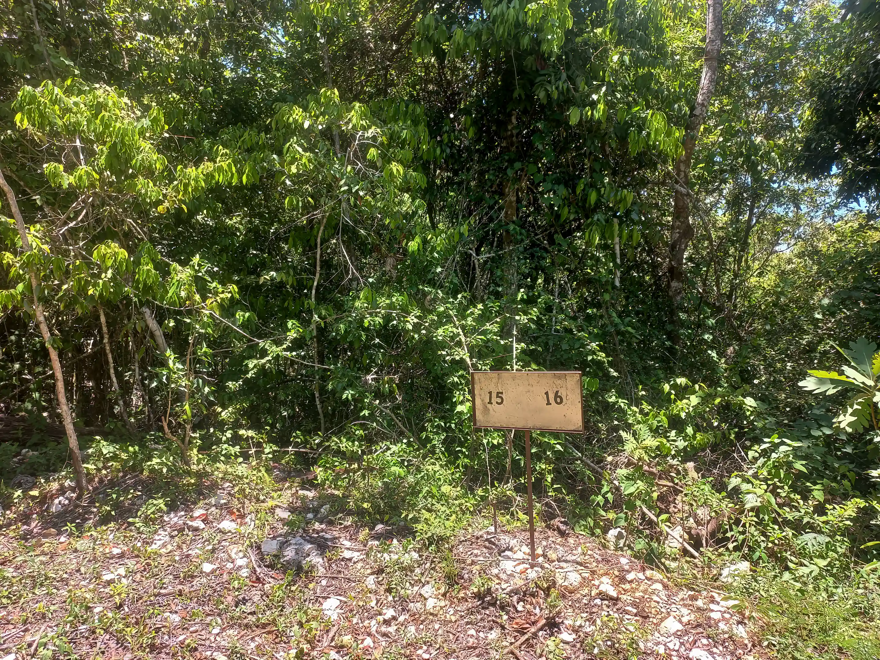 The Estates Lot #15 & Lot #16 Boundary