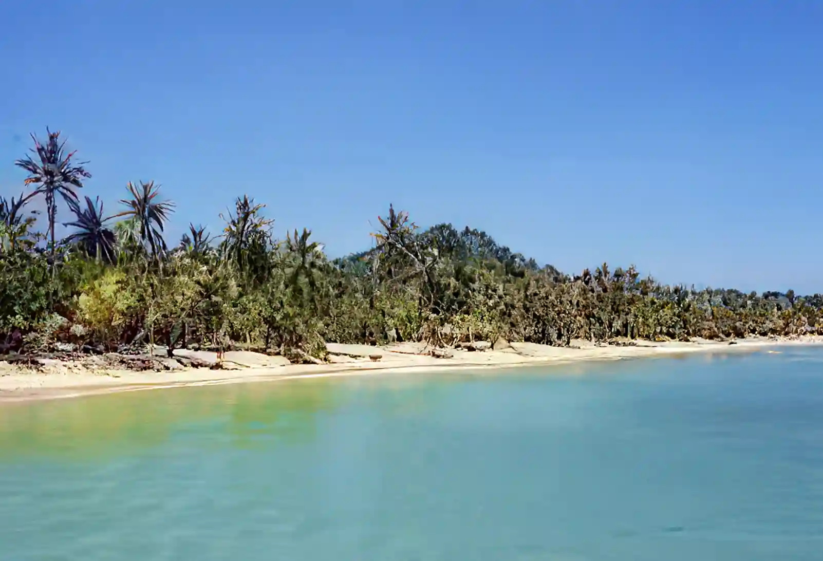 14 Acres of Beachfront for Sale in Trujillo, Colon, Honduras Viviun