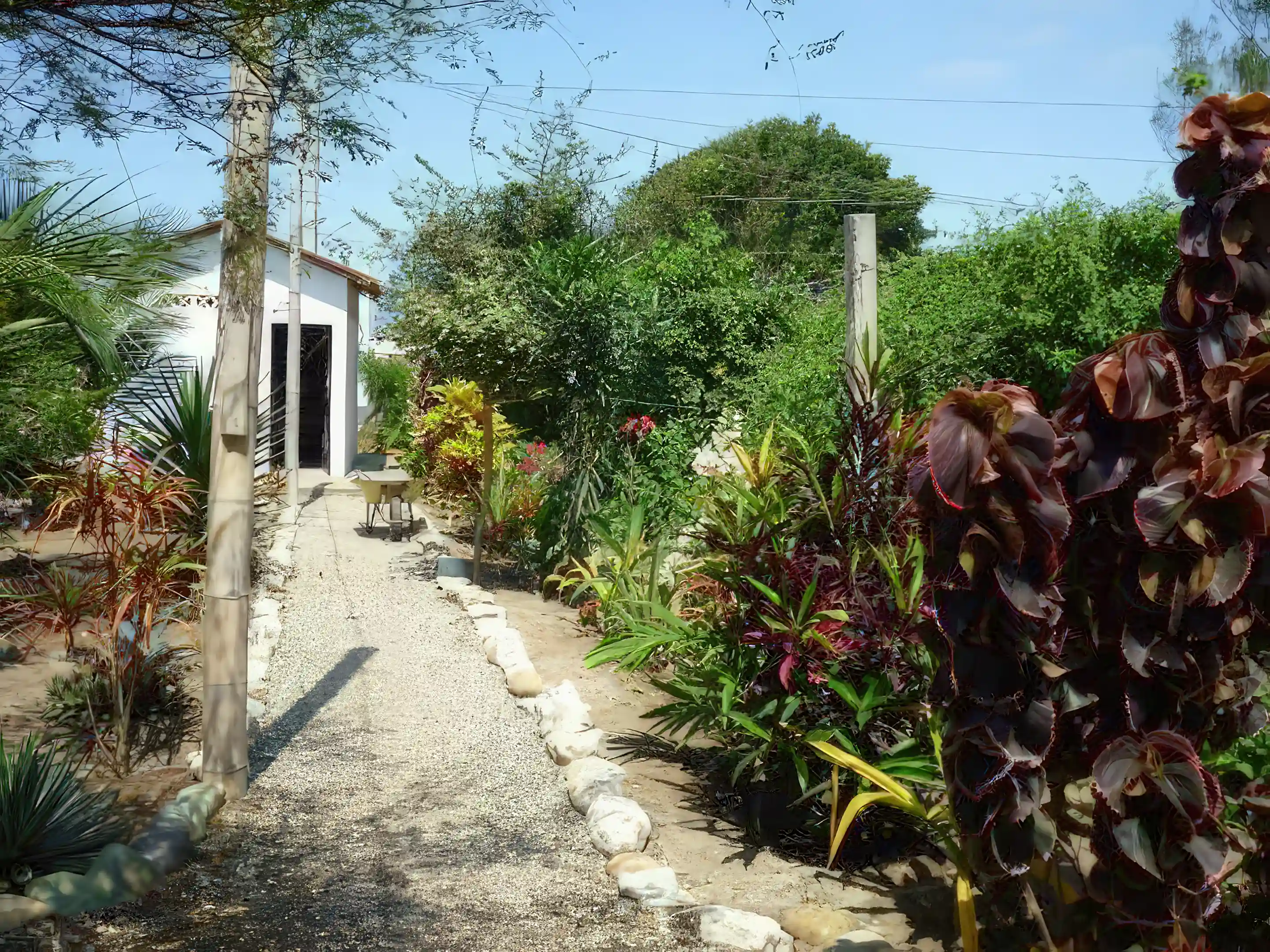 Bed and Breakfast for Sale in Jardin Suizo, Puerto Cayo, Manabi