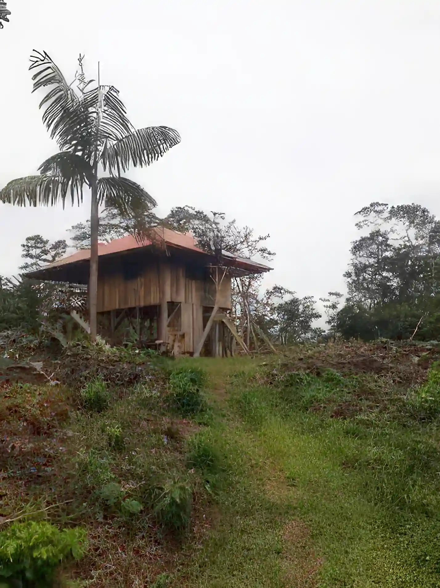Hardwood Jungle House for Sale in Gualaquiza, Loja, Ecuador