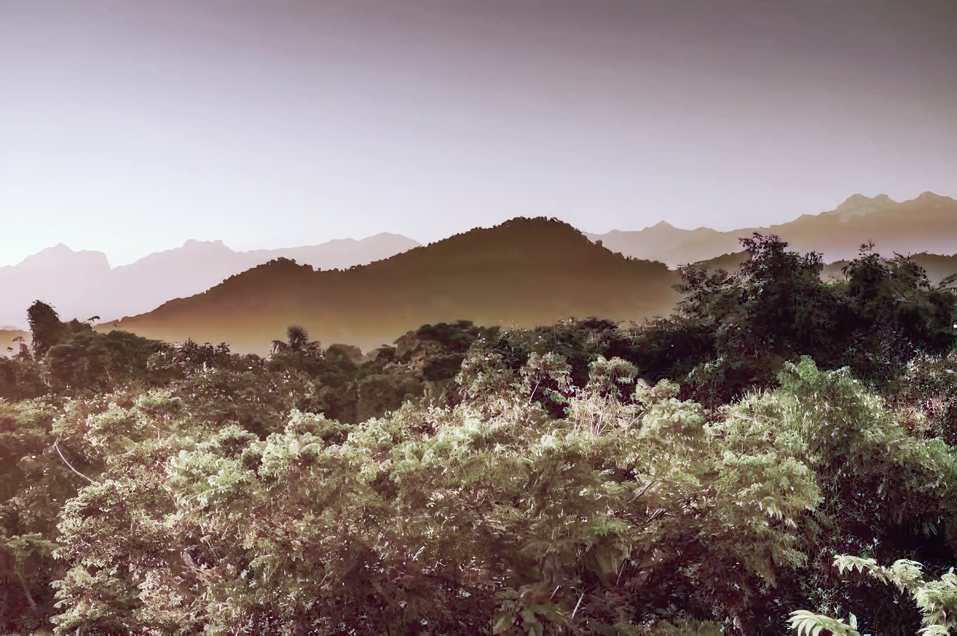 Views of the distant mountains are gorgeous.