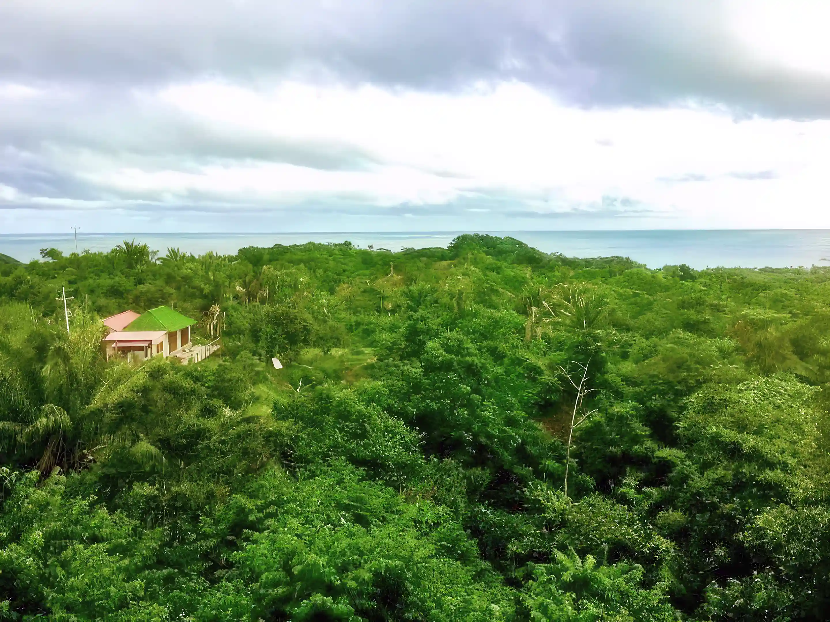 Cedar cabin with ocean views, mountain views and great rental...