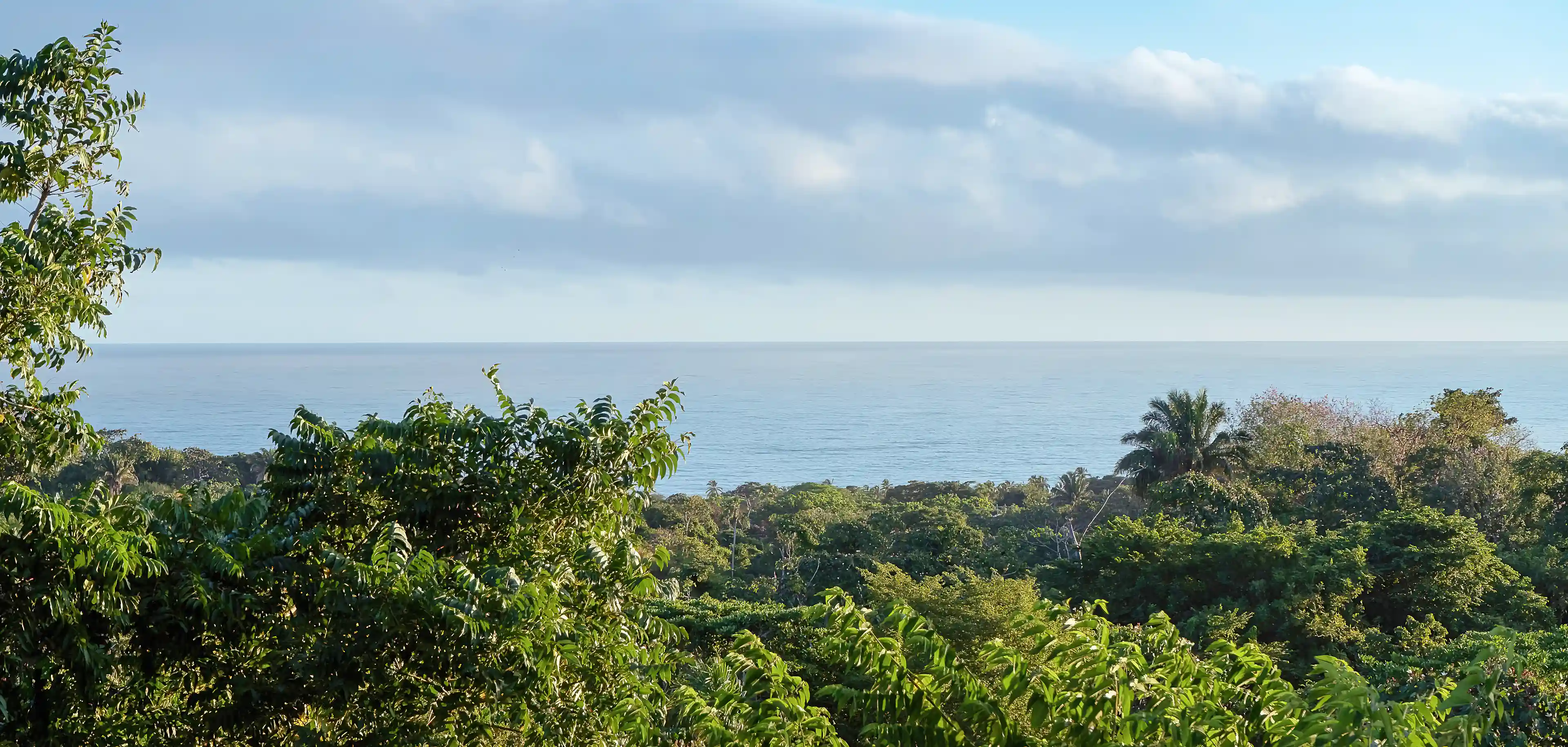 Ocean View Lot for Sale in Tayrona, Magdalena, Colombia