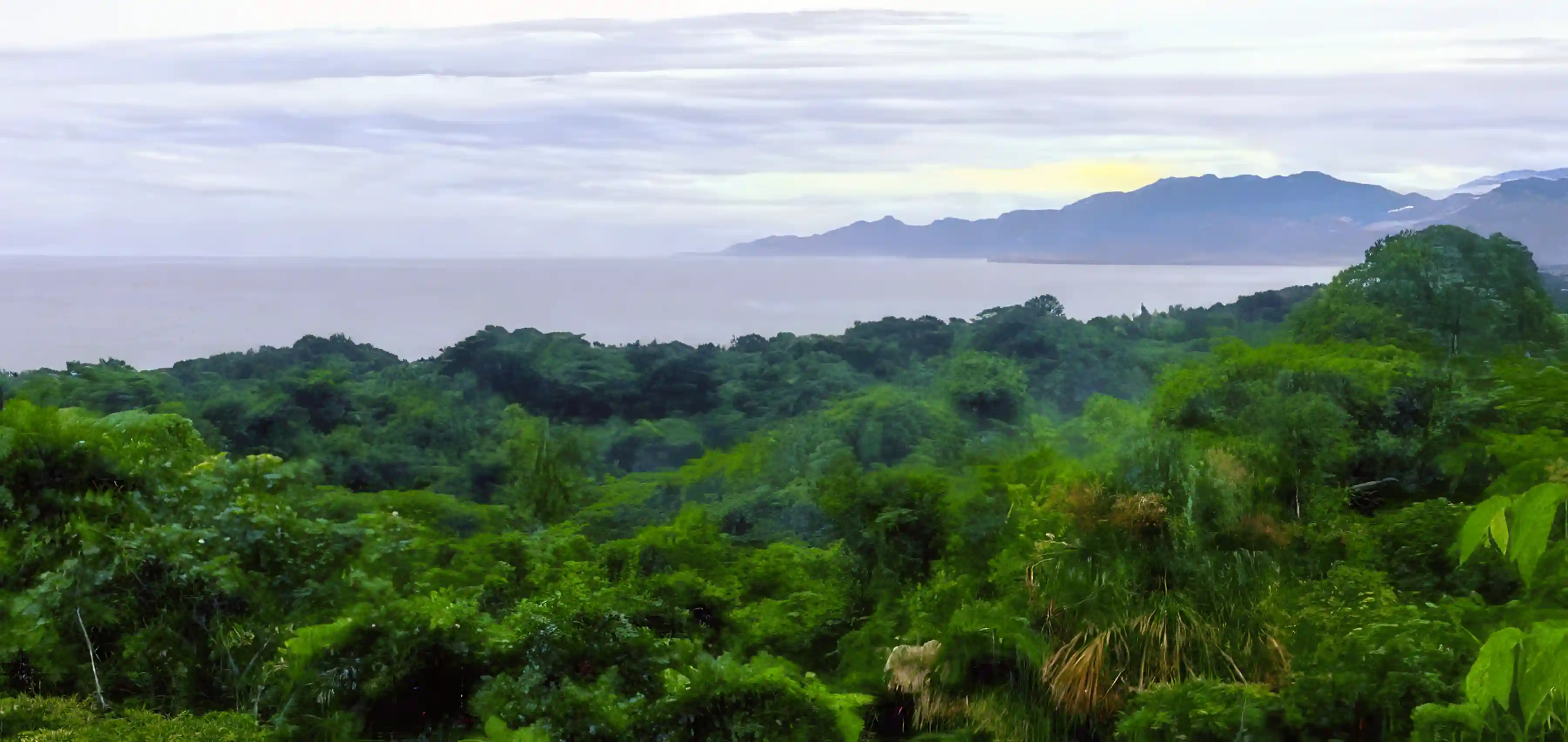 The views of the Caribbean are breath taking.