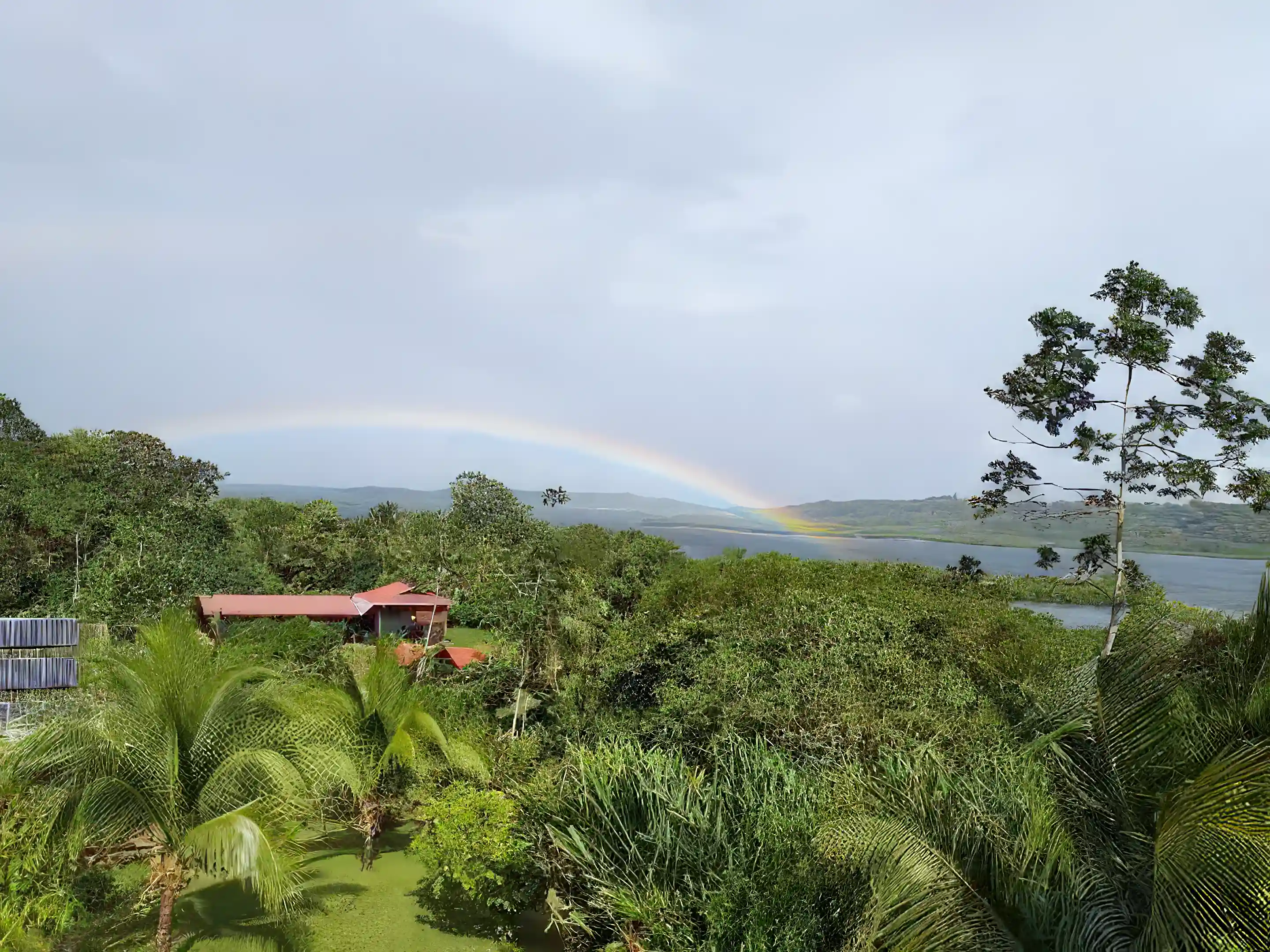 View from Upper House