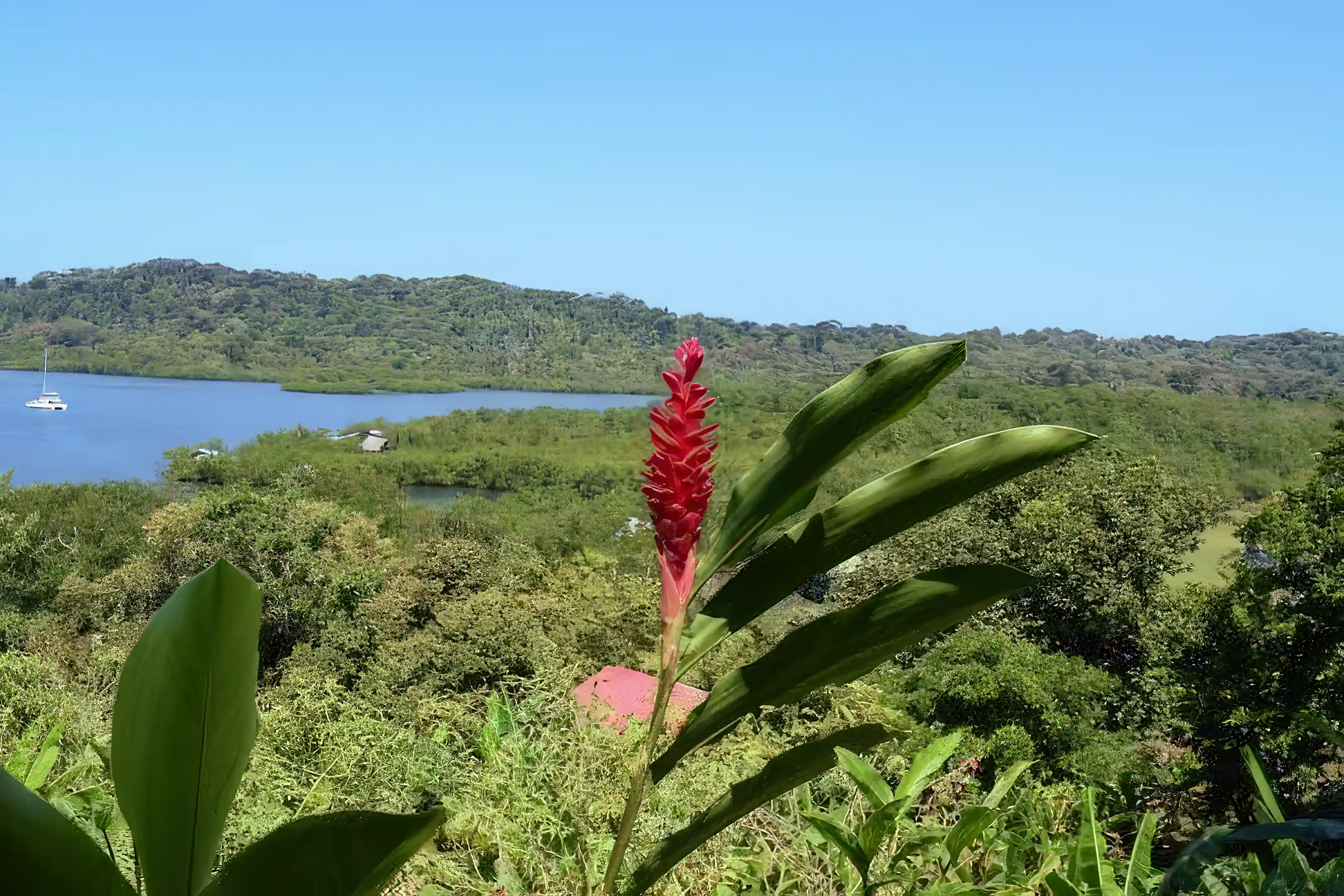 Island Property for Sale in Isla Bastimentos, Bocas Del Toro, Panama