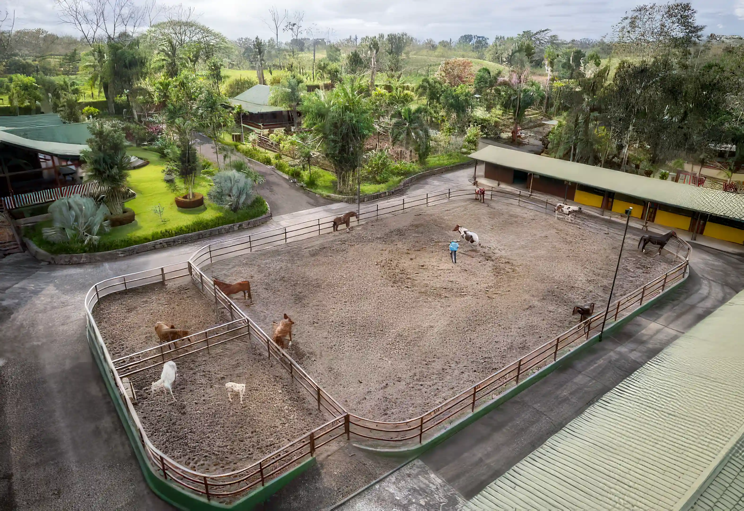 horse stall