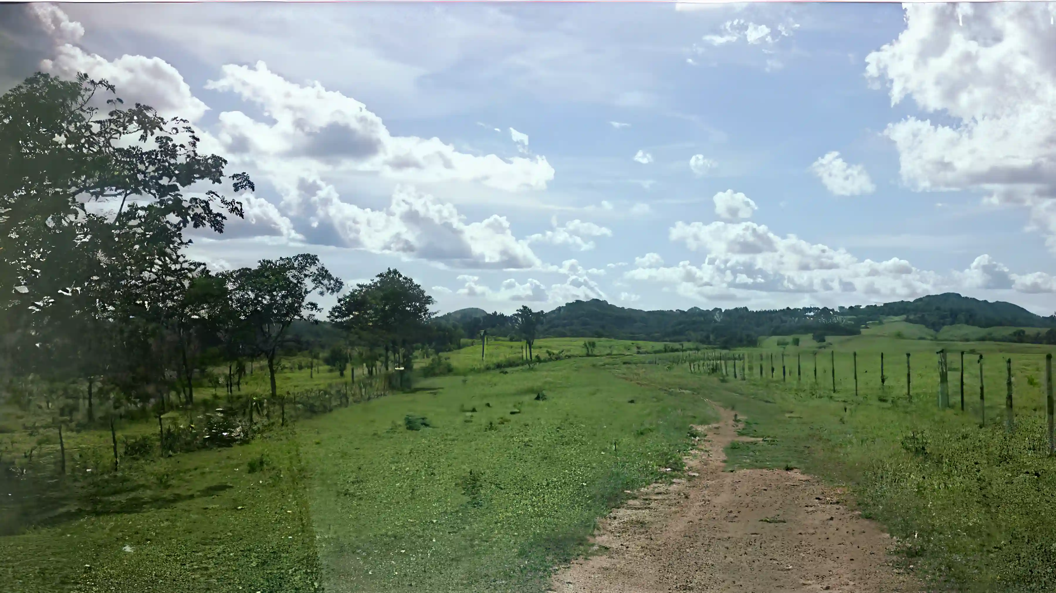 Cattle Ranch for Sale in San Javier, Santa Cruz, Bolivia
