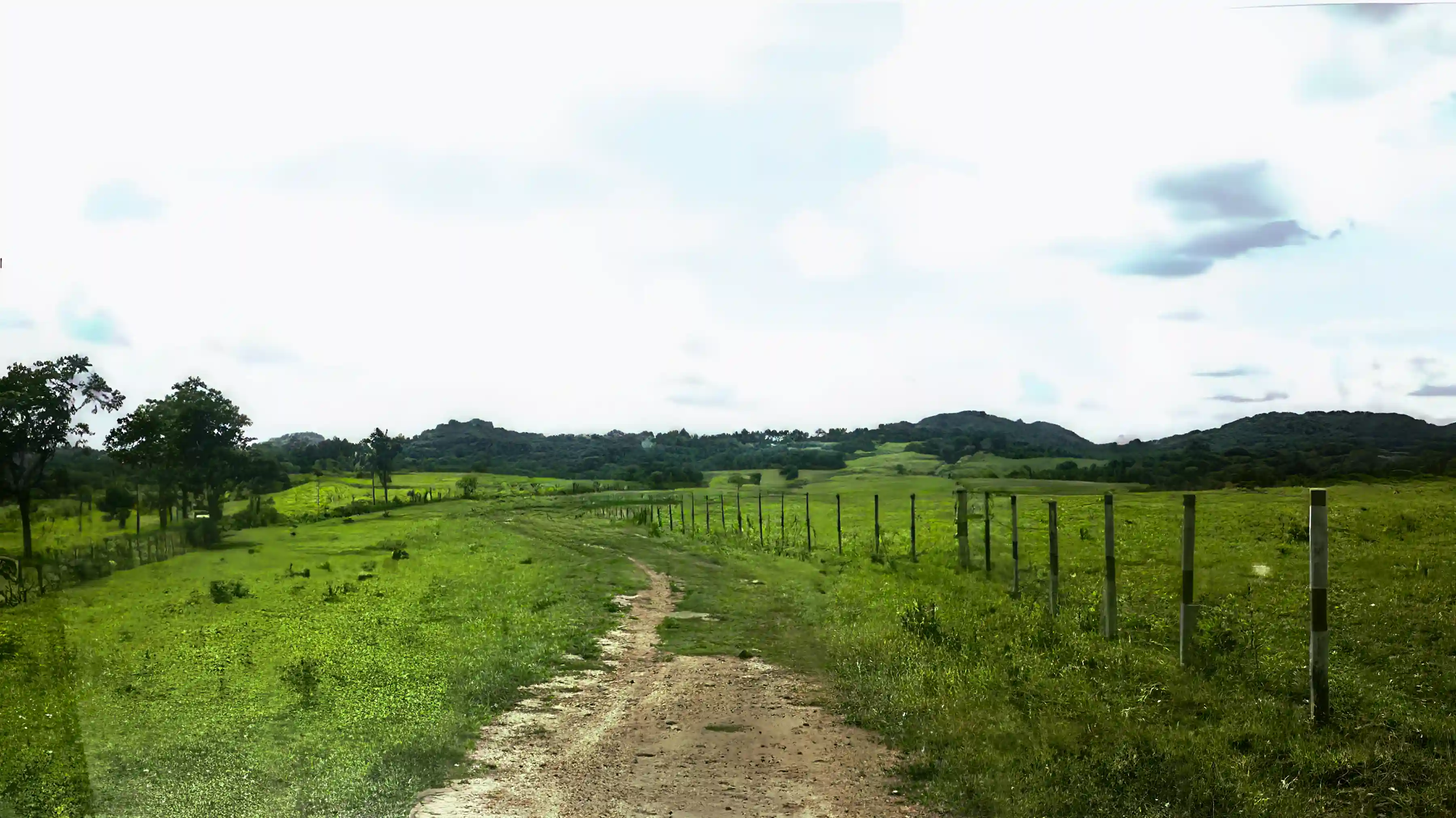 Cattle Ranch for Sale in San Javier, Santa Cruz, Bolivia