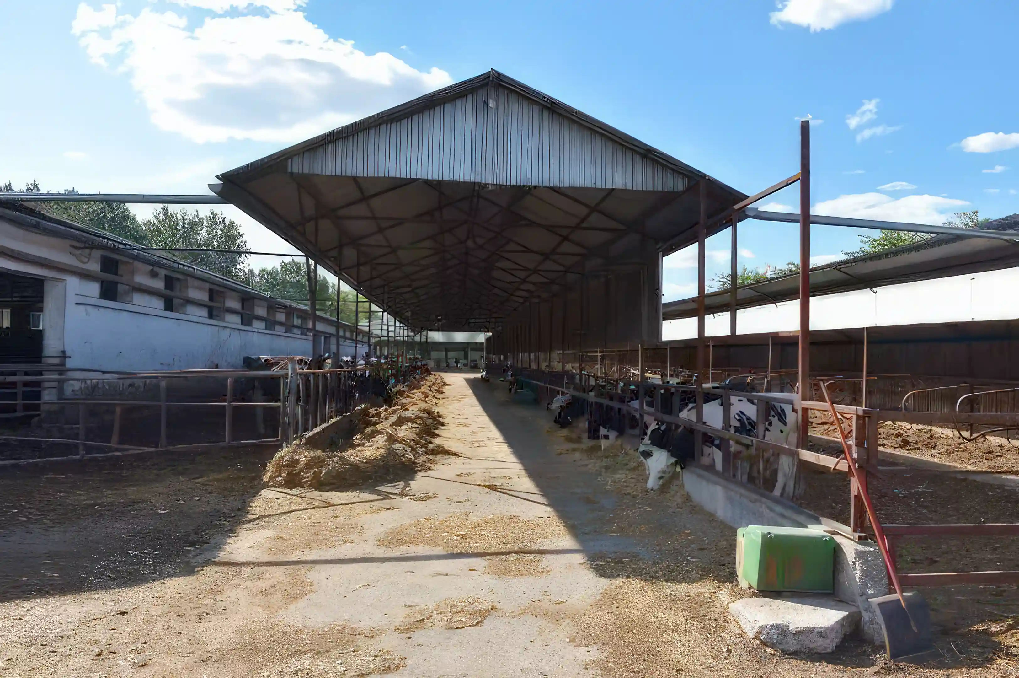 Cattle Farm for Sale in Nyársapát, Hungary