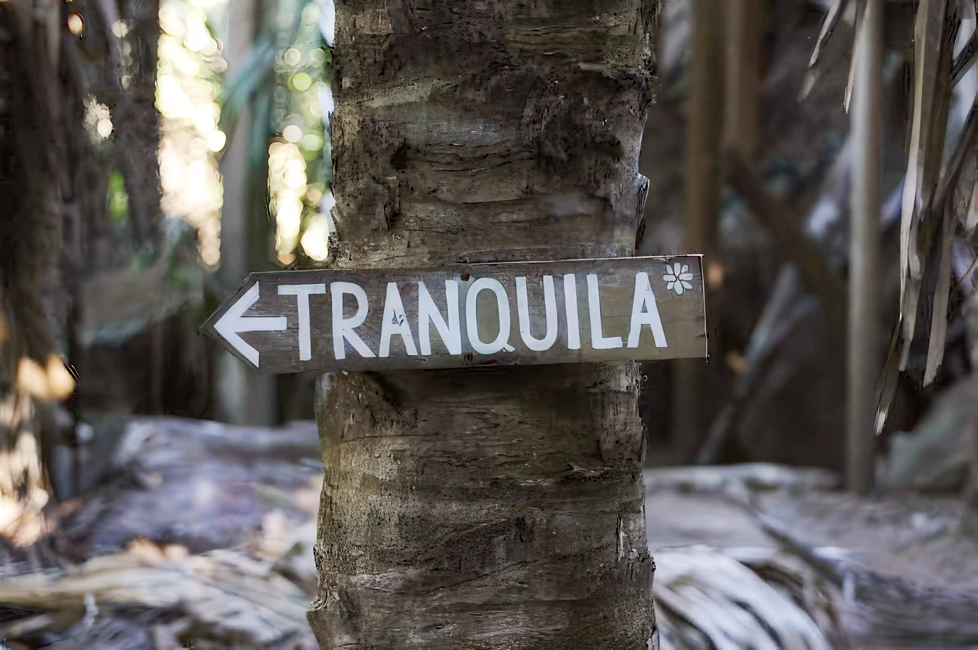 Directional sign